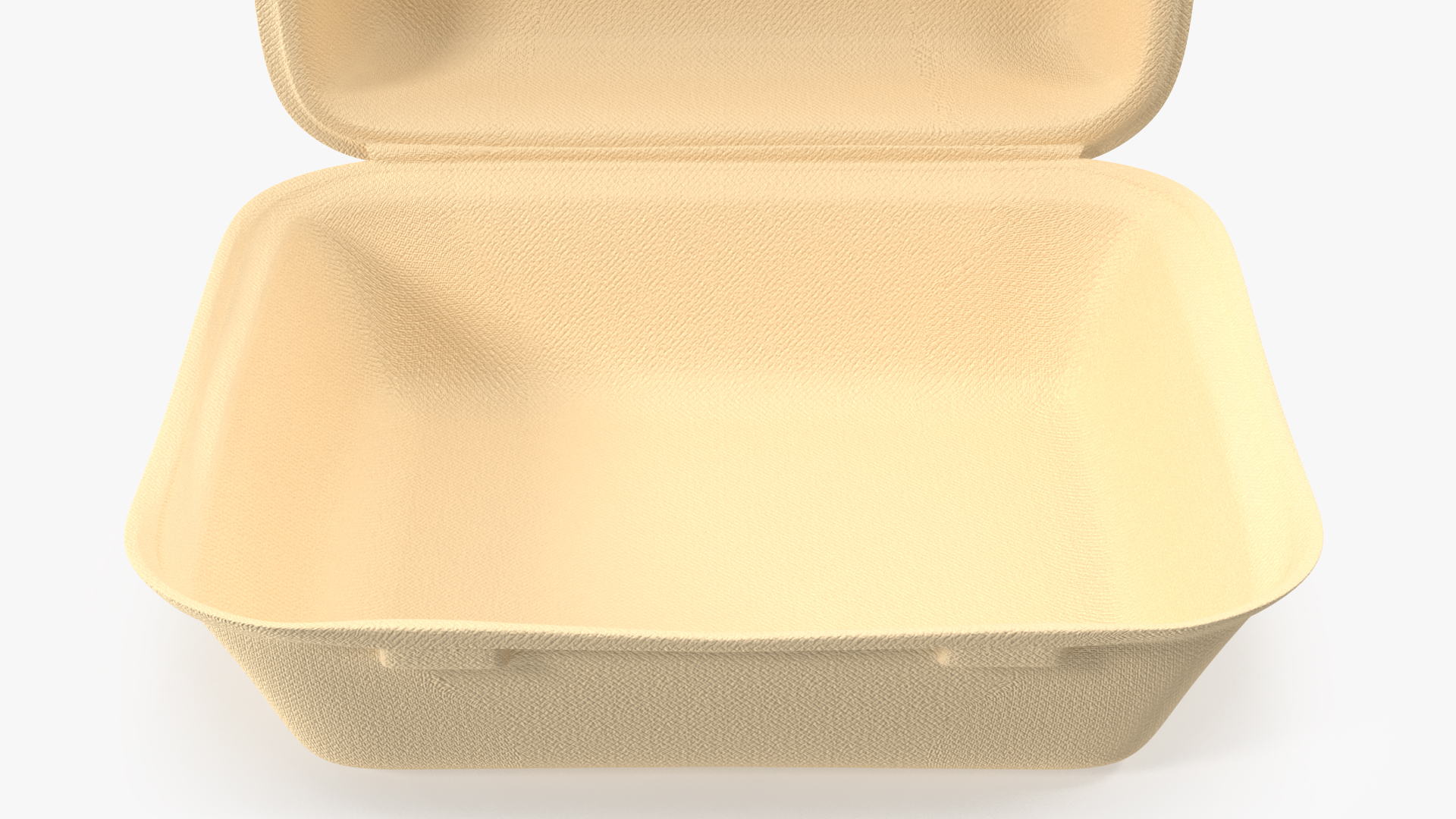 3D Bagasse Food Box