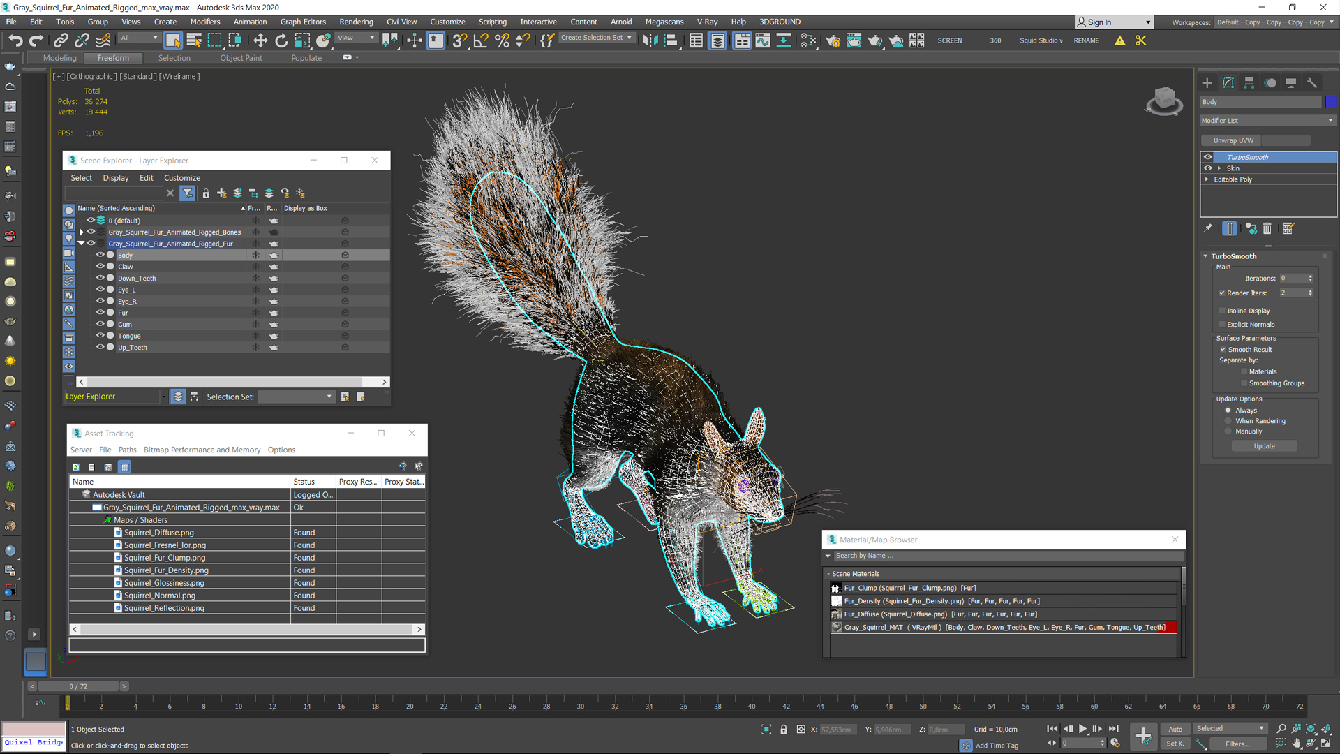 3D Gray Squirrel Fur Animated Rigged model