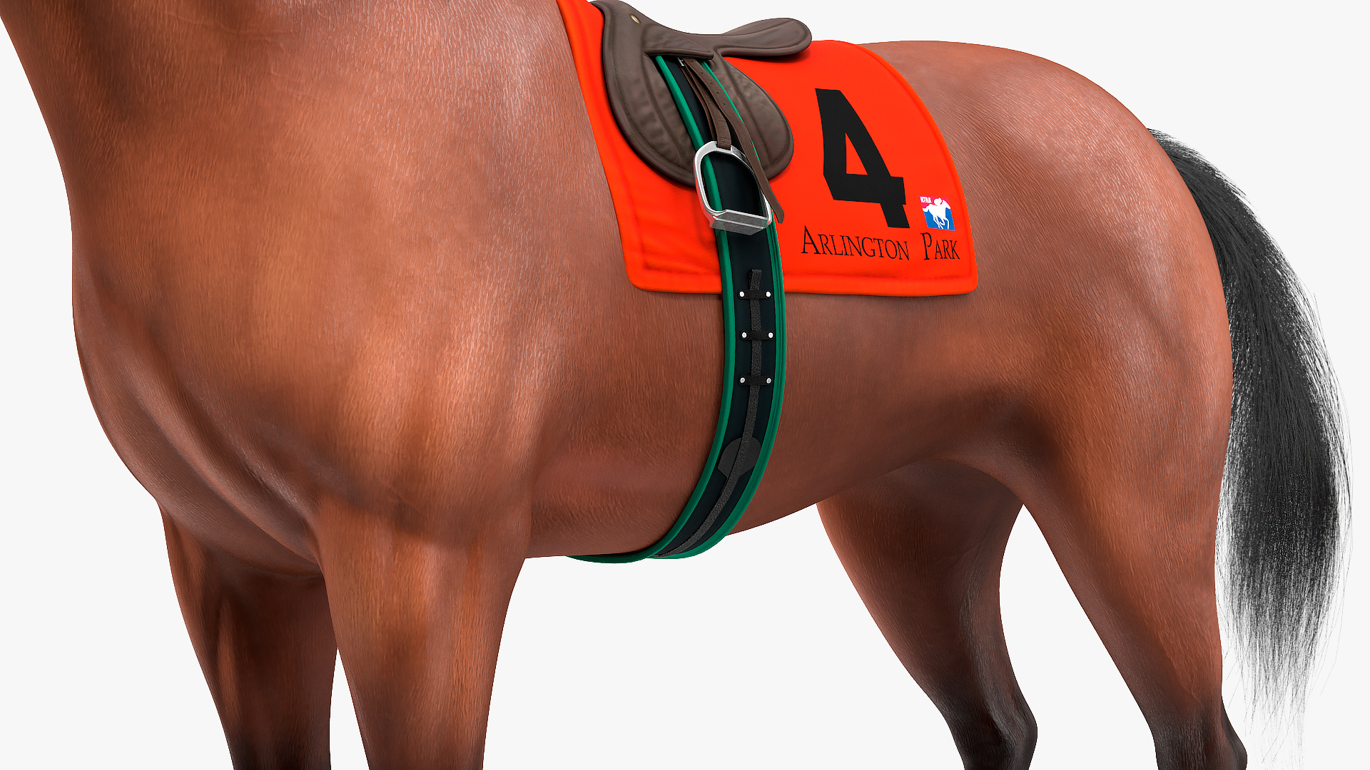 3D model Bay Racing Horse Fur