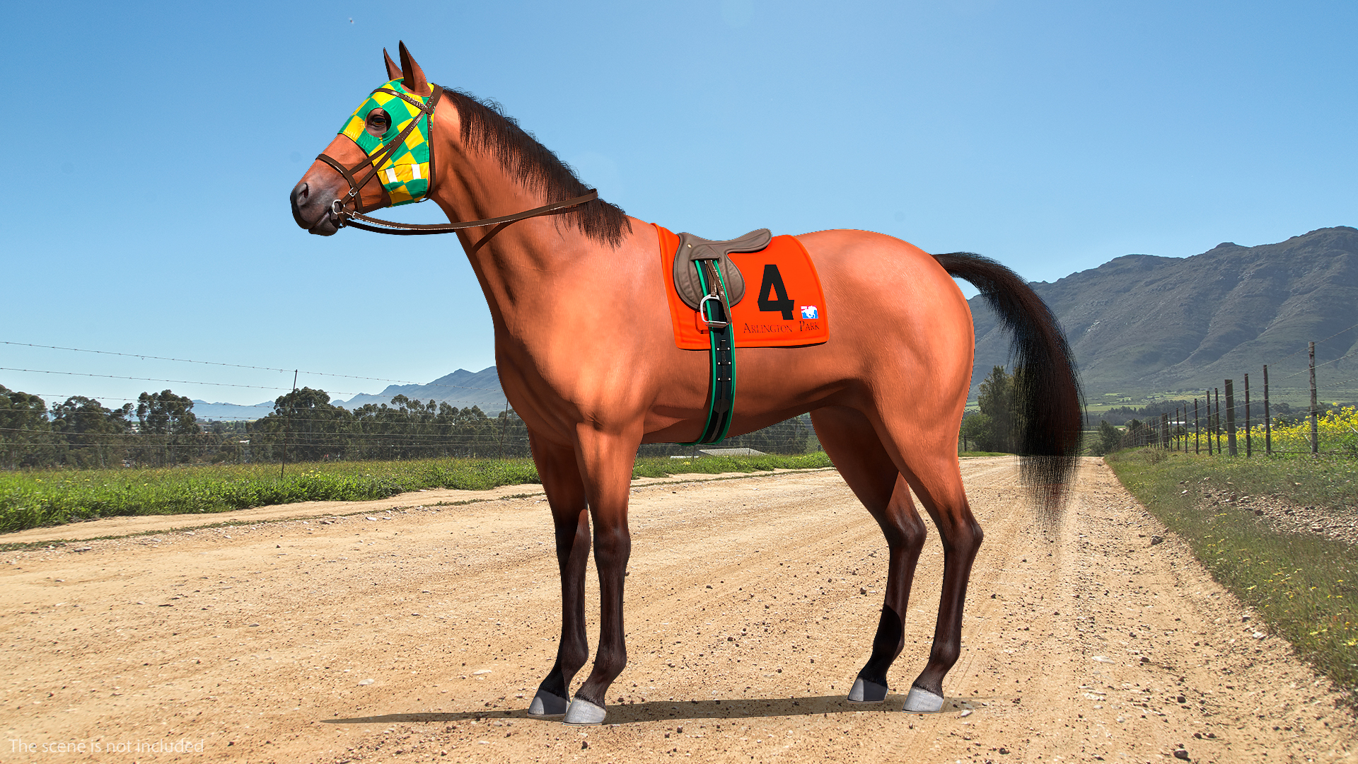 3D model Bay Racing Horse Fur