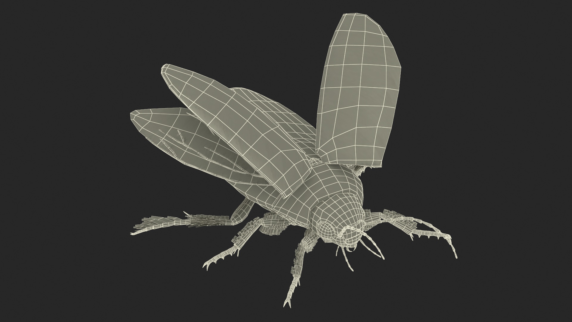 3D Insect Water Beetle Brown Rigged for Cinema 4D