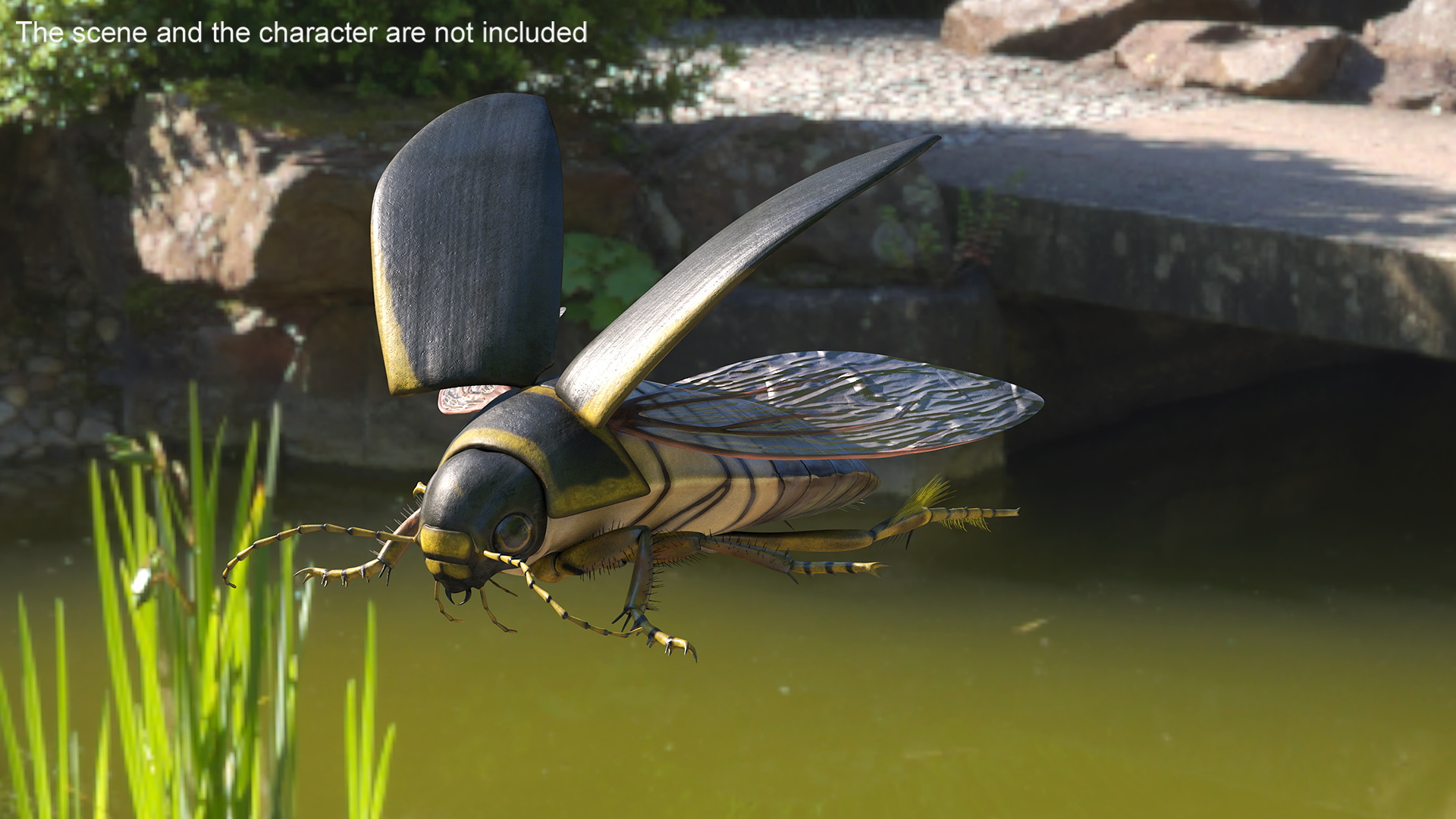 Insect Water Beetle Brown Rigged 3D