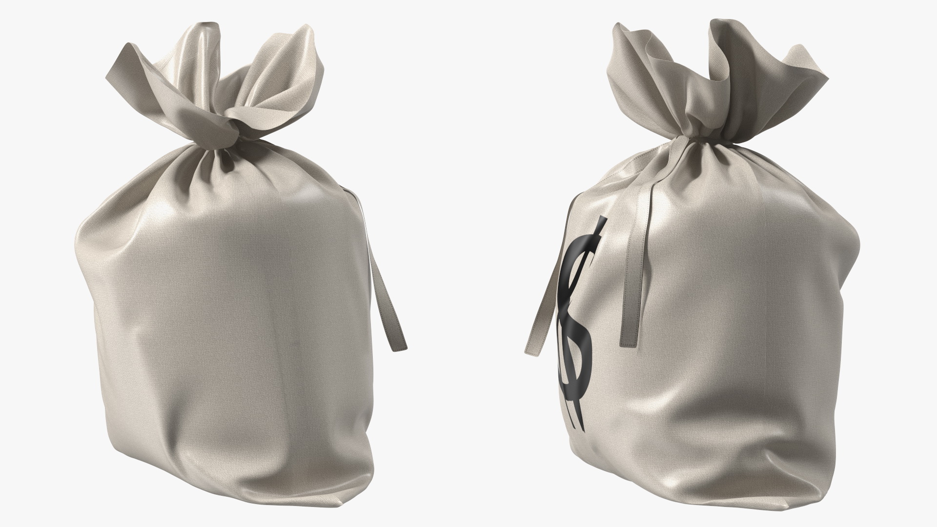 3D Money Bag with Dollar Sign