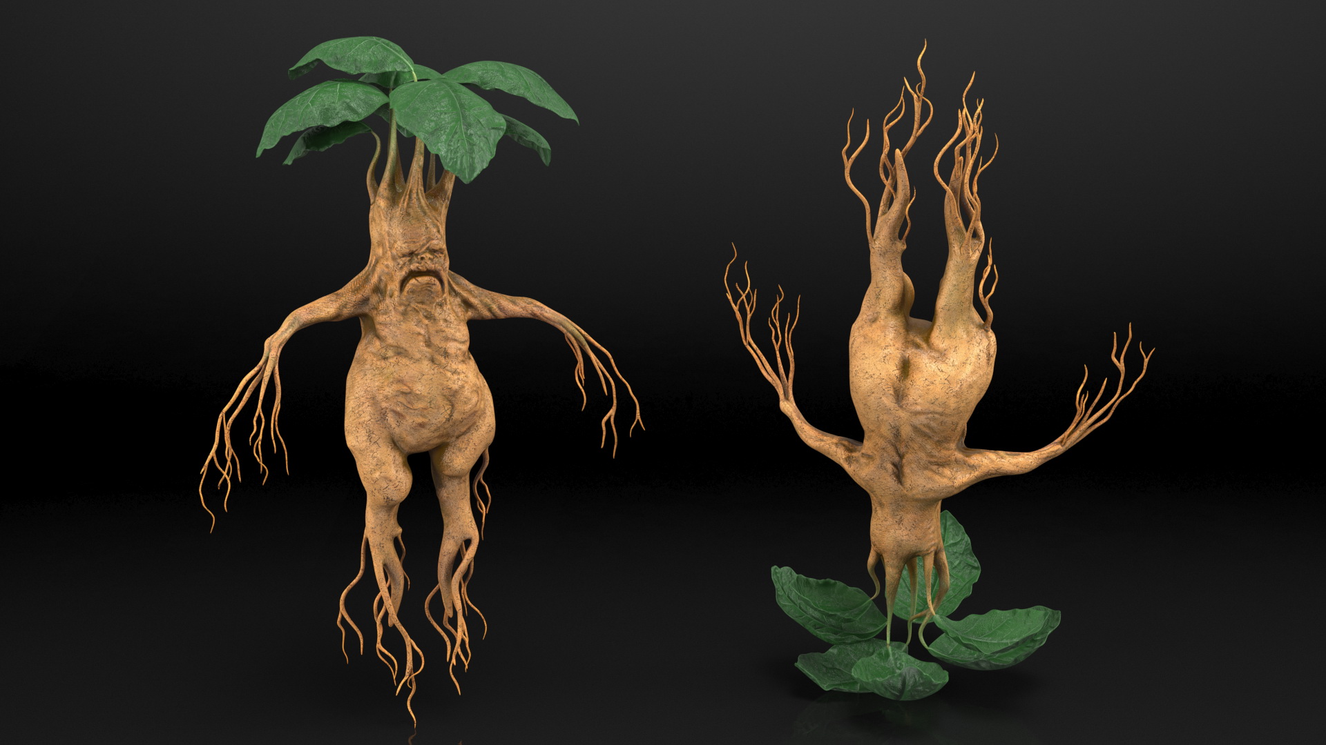 3D model Mandragora