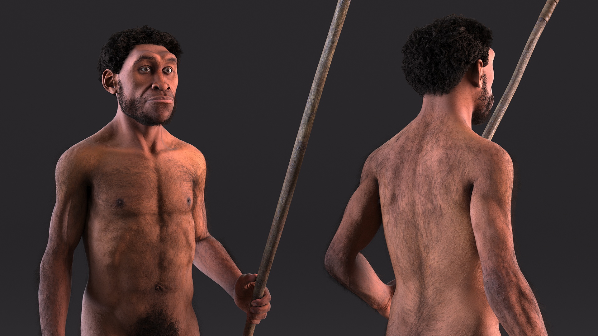 Homo Erectus with Spear Fur 3D