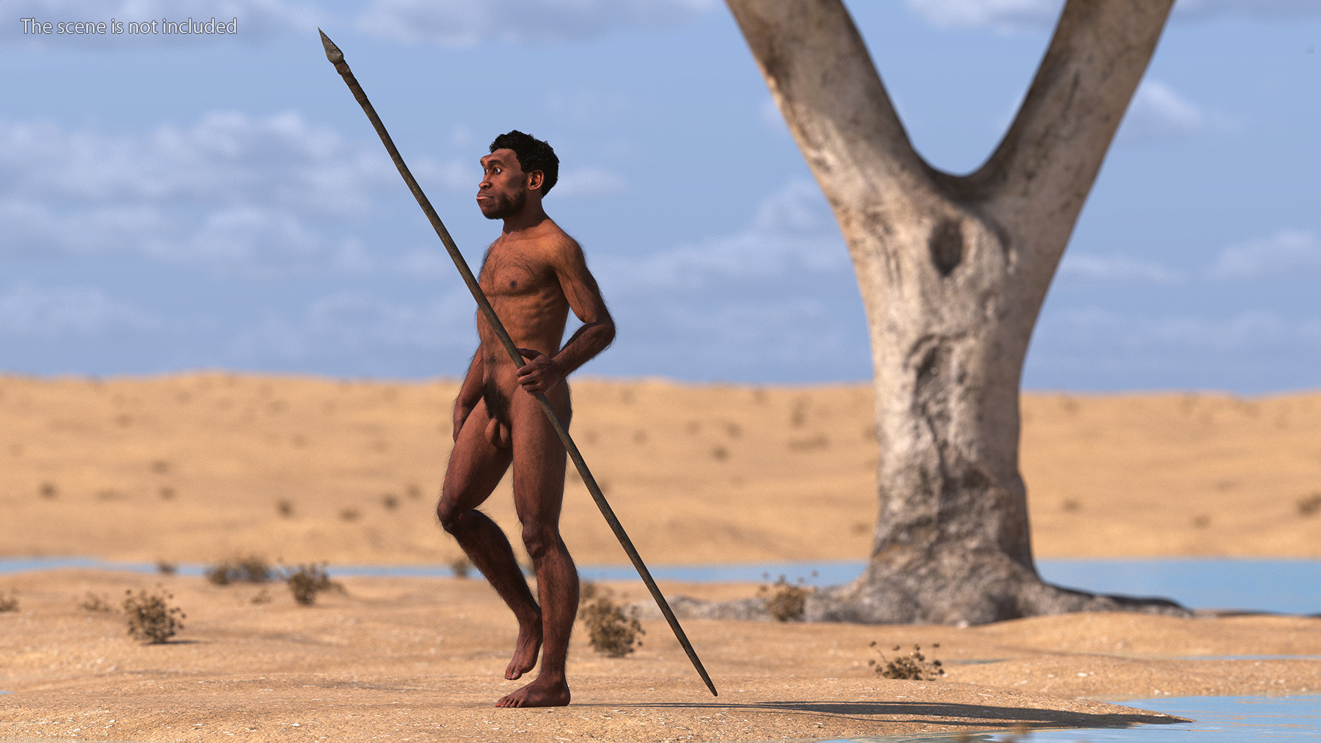 Homo Erectus with Spear Fur 3D