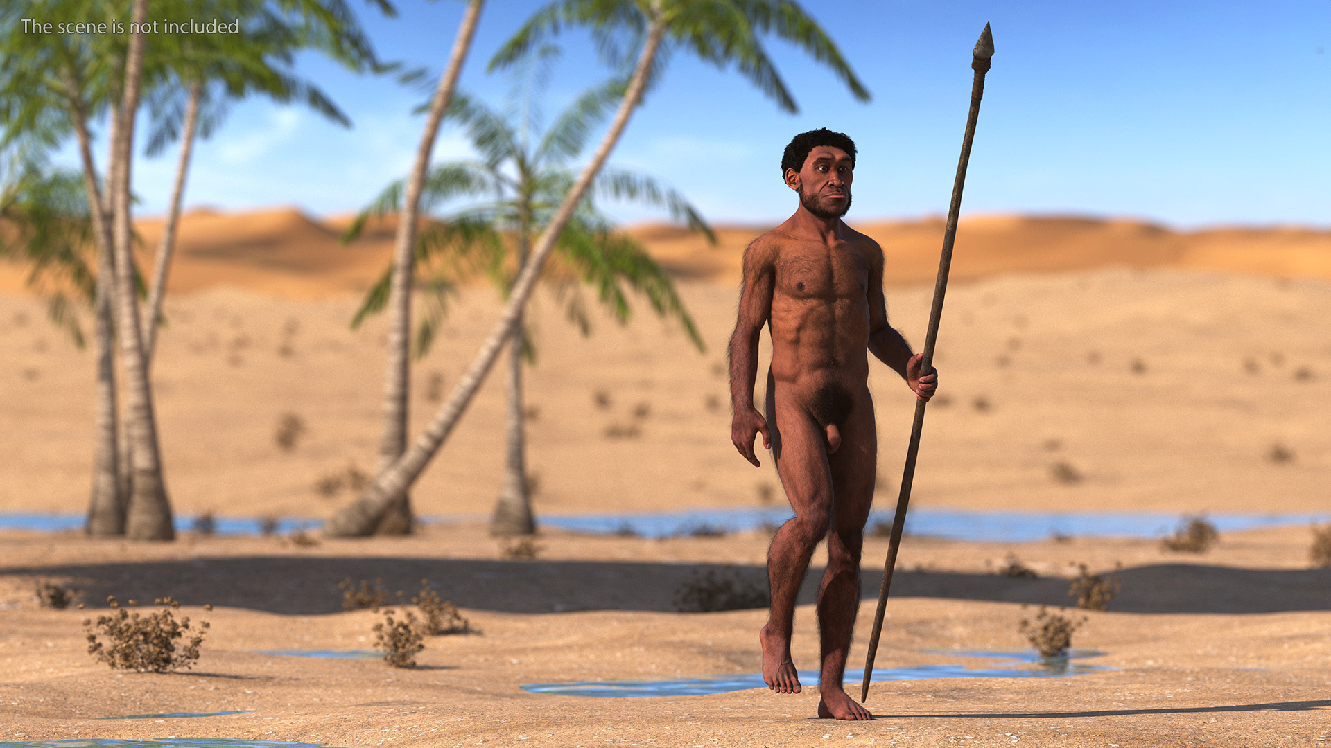 Homo Erectus with Spear Fur 3D