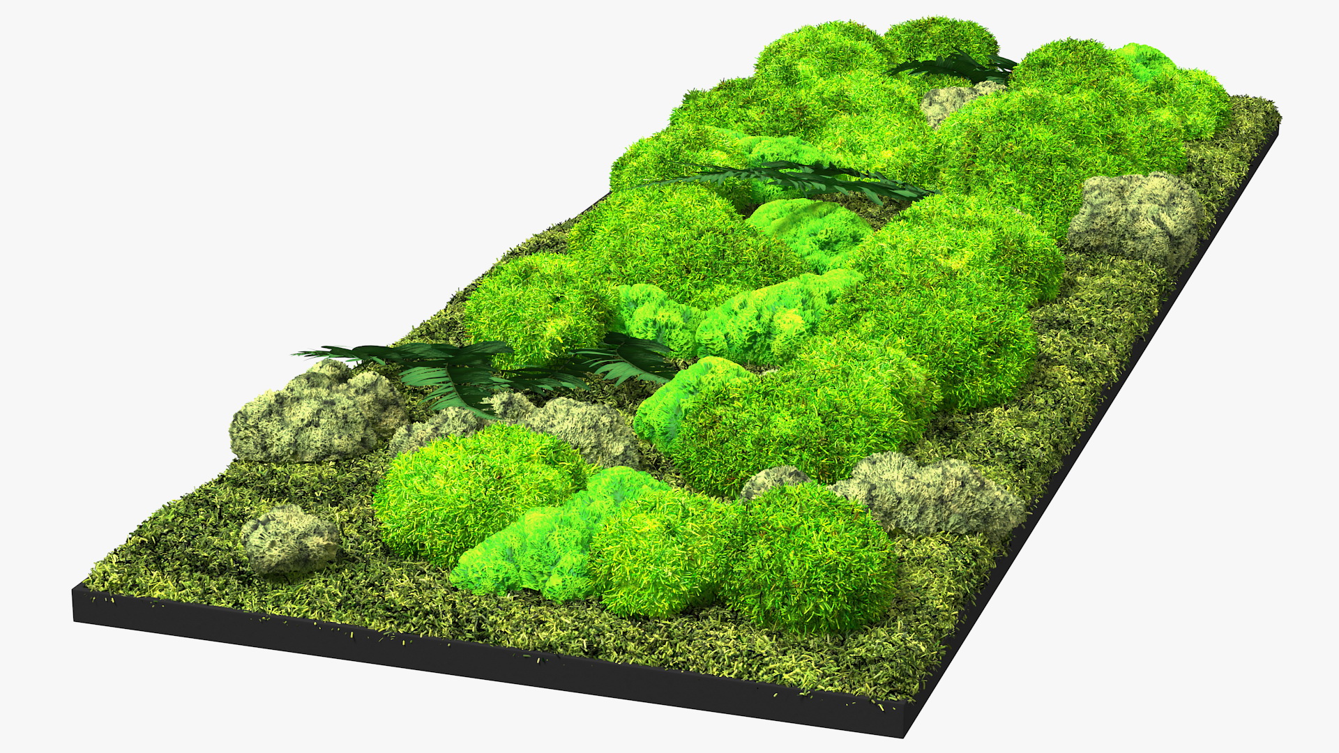 3D Natural Moss Wall with Preserved Plants Fur model