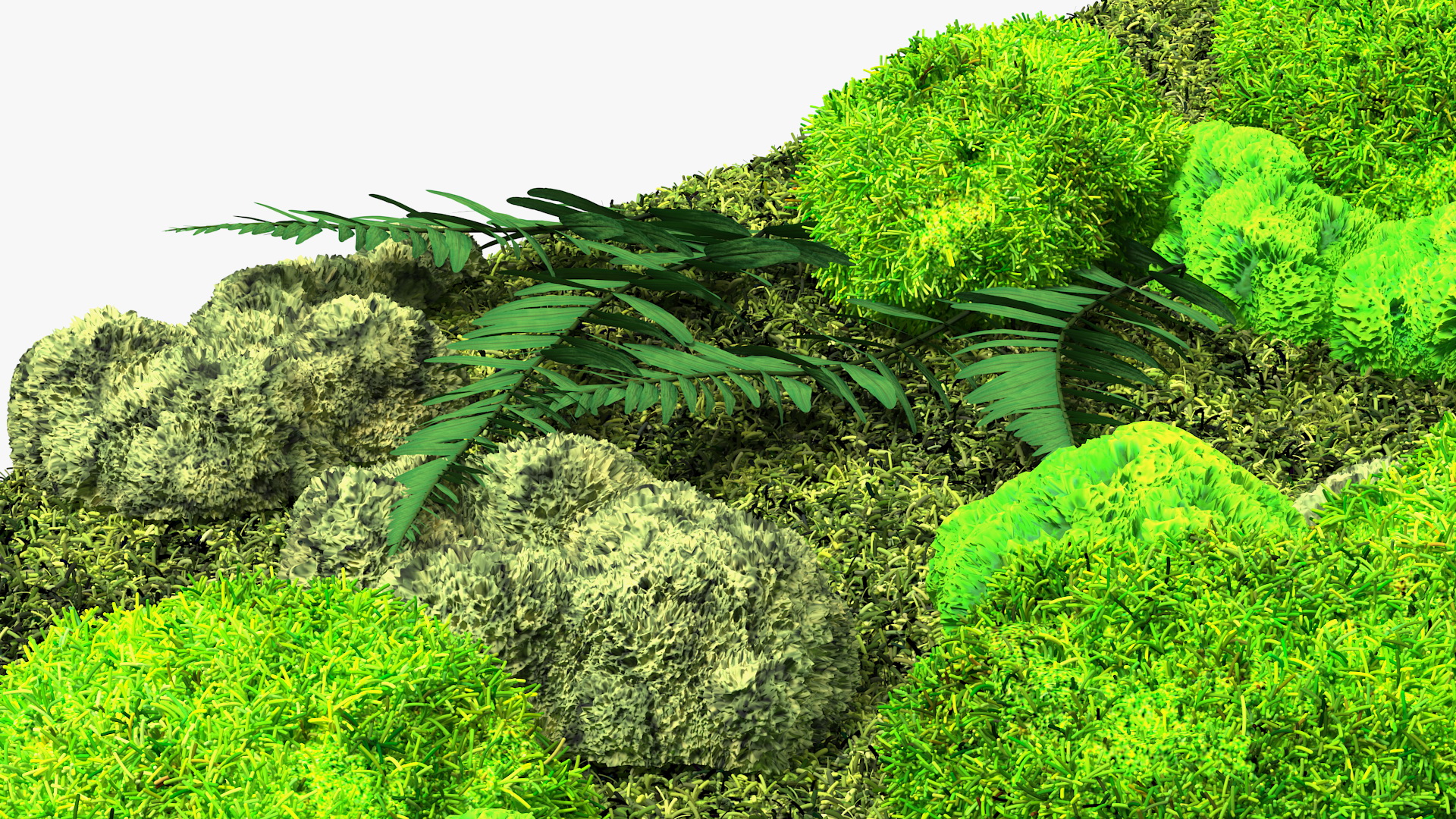 3D Natural Moss Wall with Preserved Plants Fur model