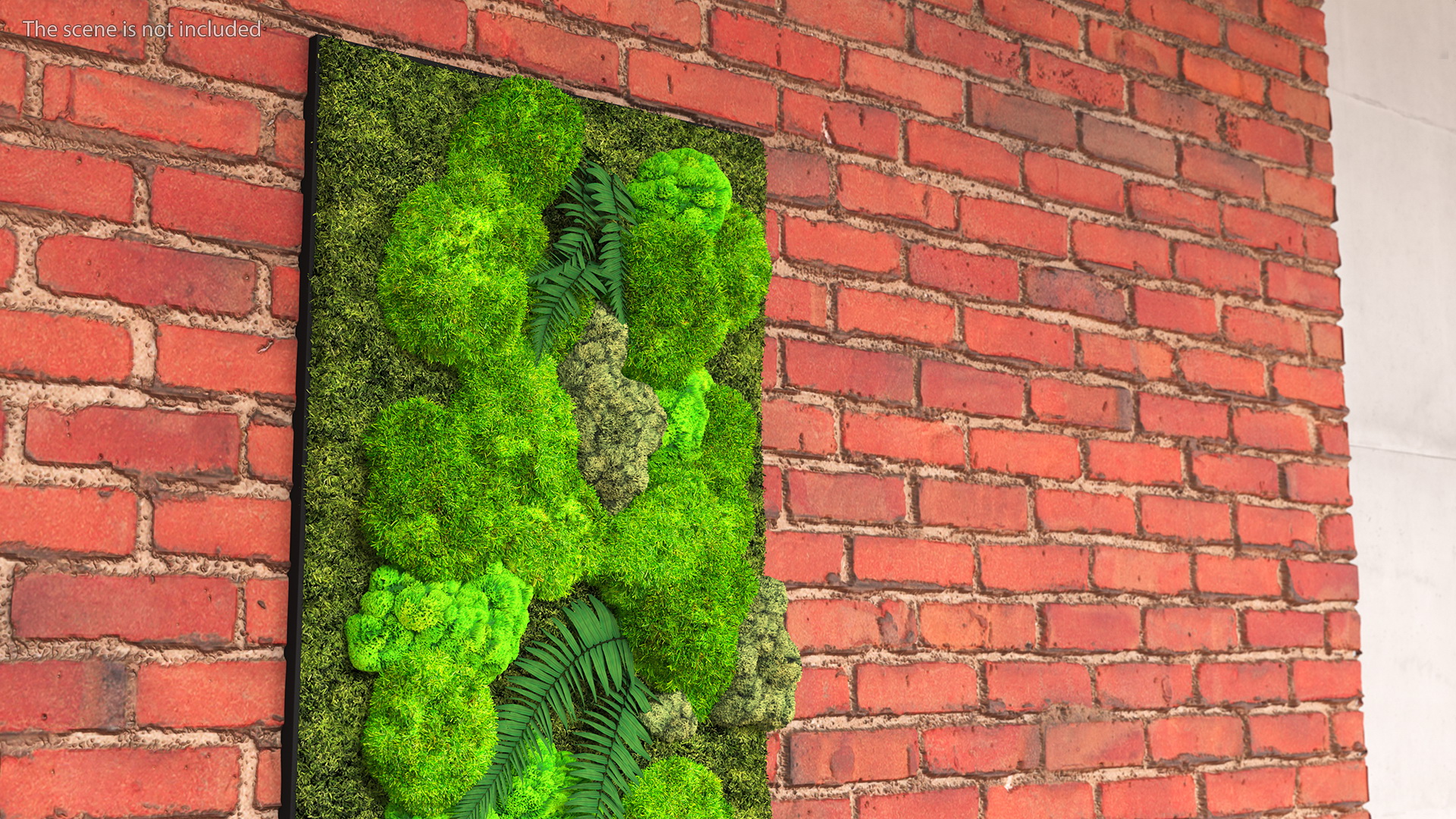 3D Natural Moss Wall with Preserved Plants Fur model