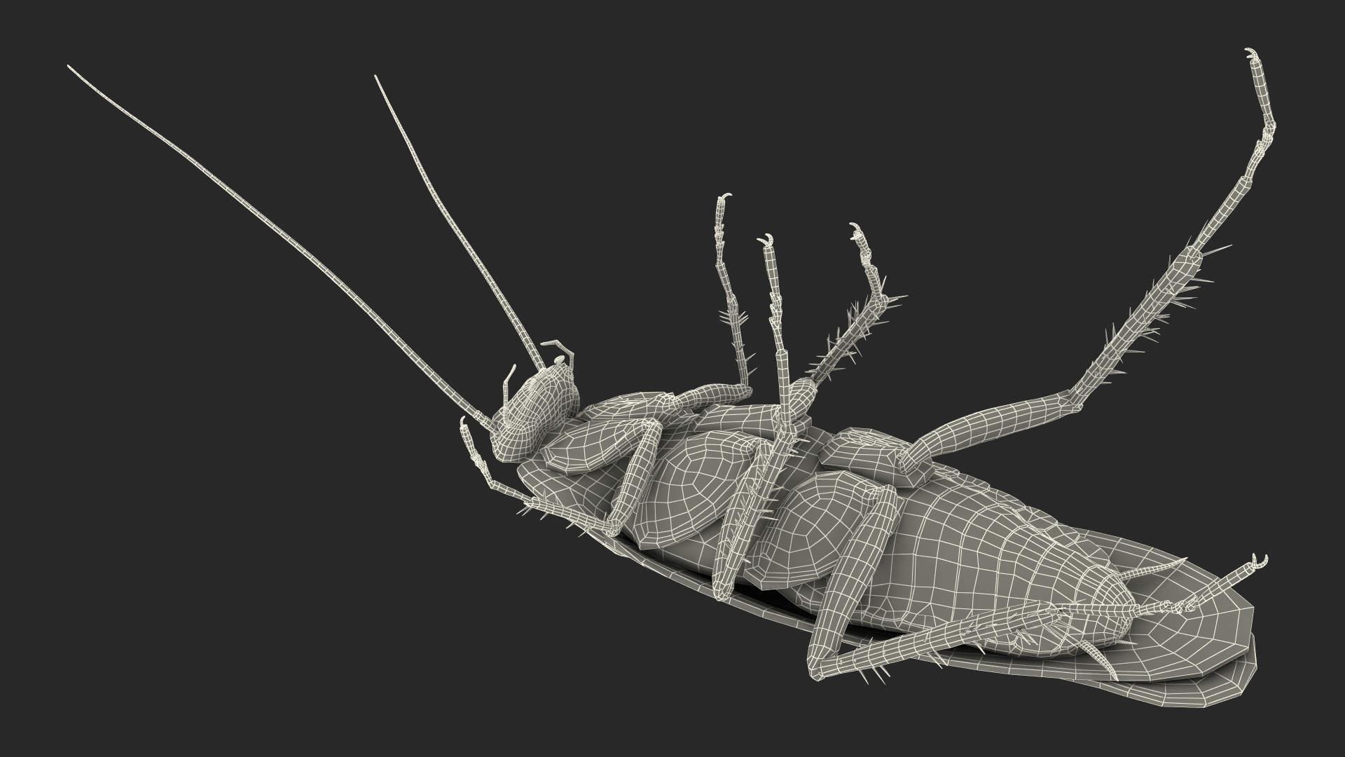 3D Animated Cockroach Upside Down Rigged for Cinema 4D