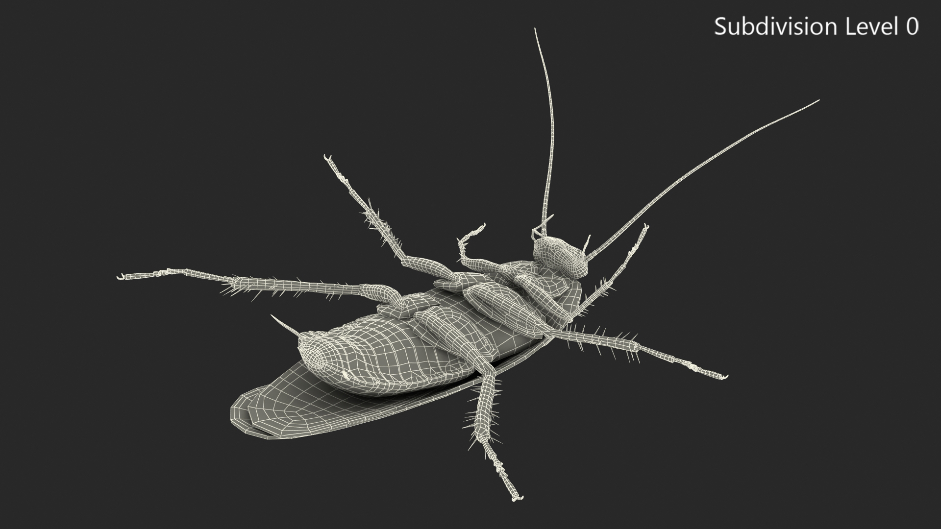 3D Animated Cockroach Upside Down Rigged for Maya