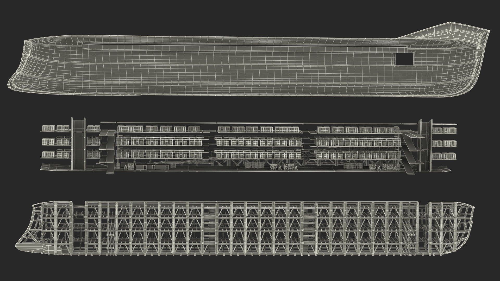 3D Noah Ark Cross Section Clear model