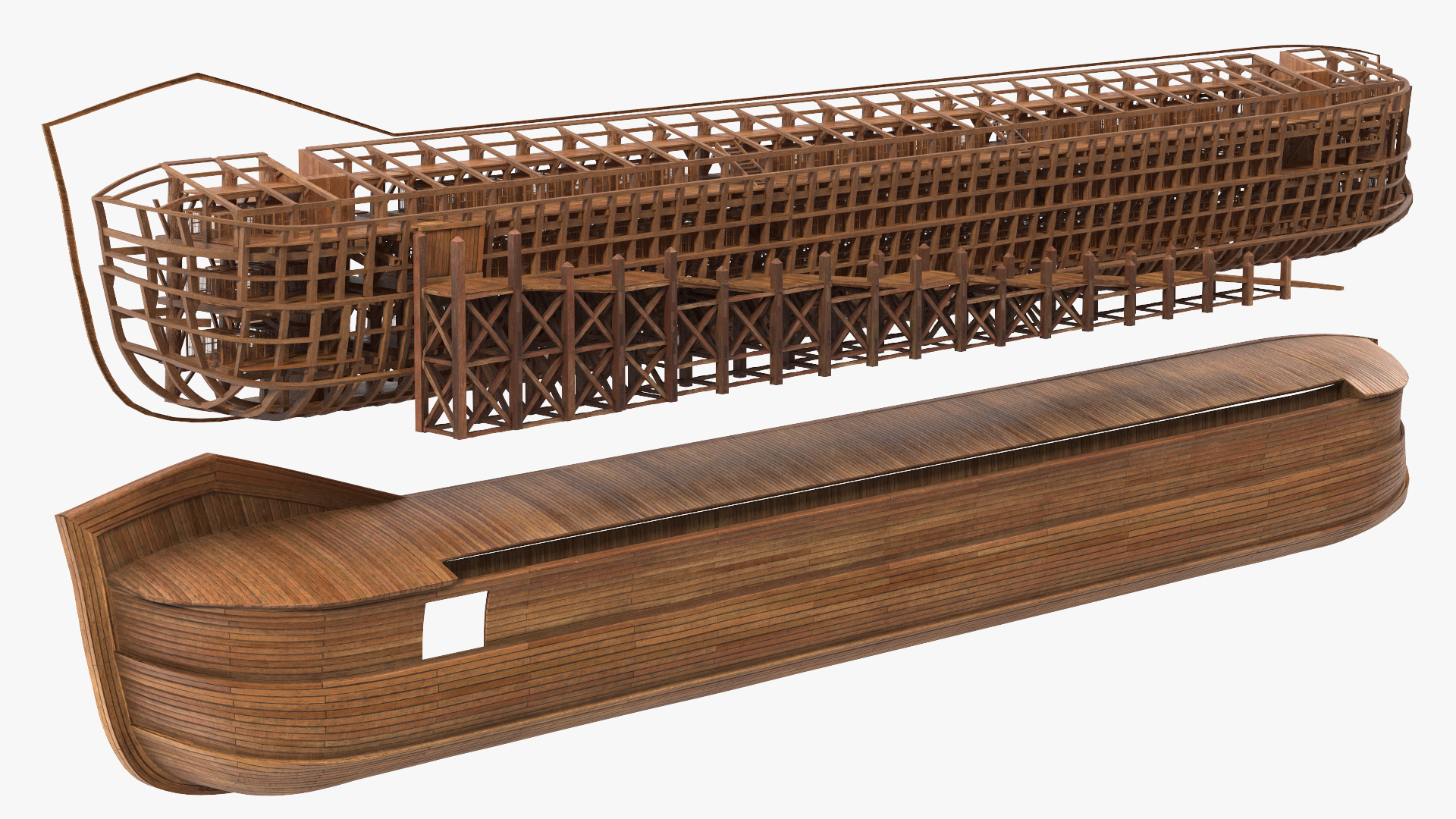 3D Noah Ark Cross Section Clear model