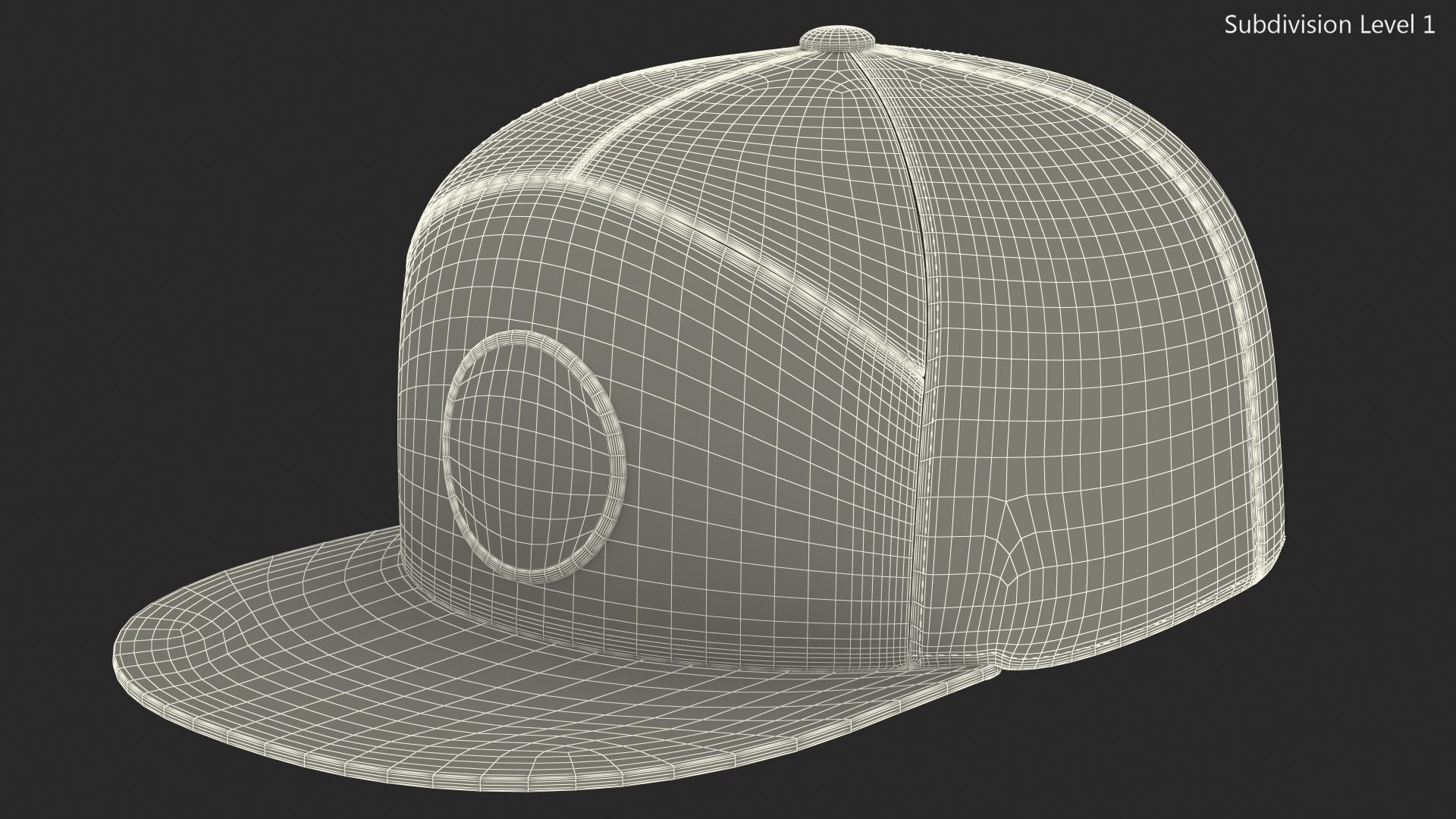 3D Flat Brim Trucker Hat with Mesh Back