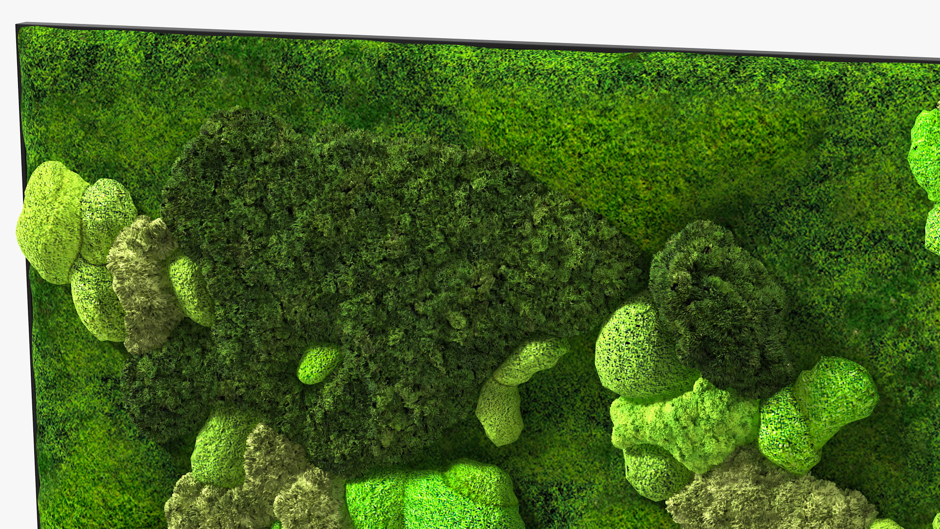 Moss Wall 3D model