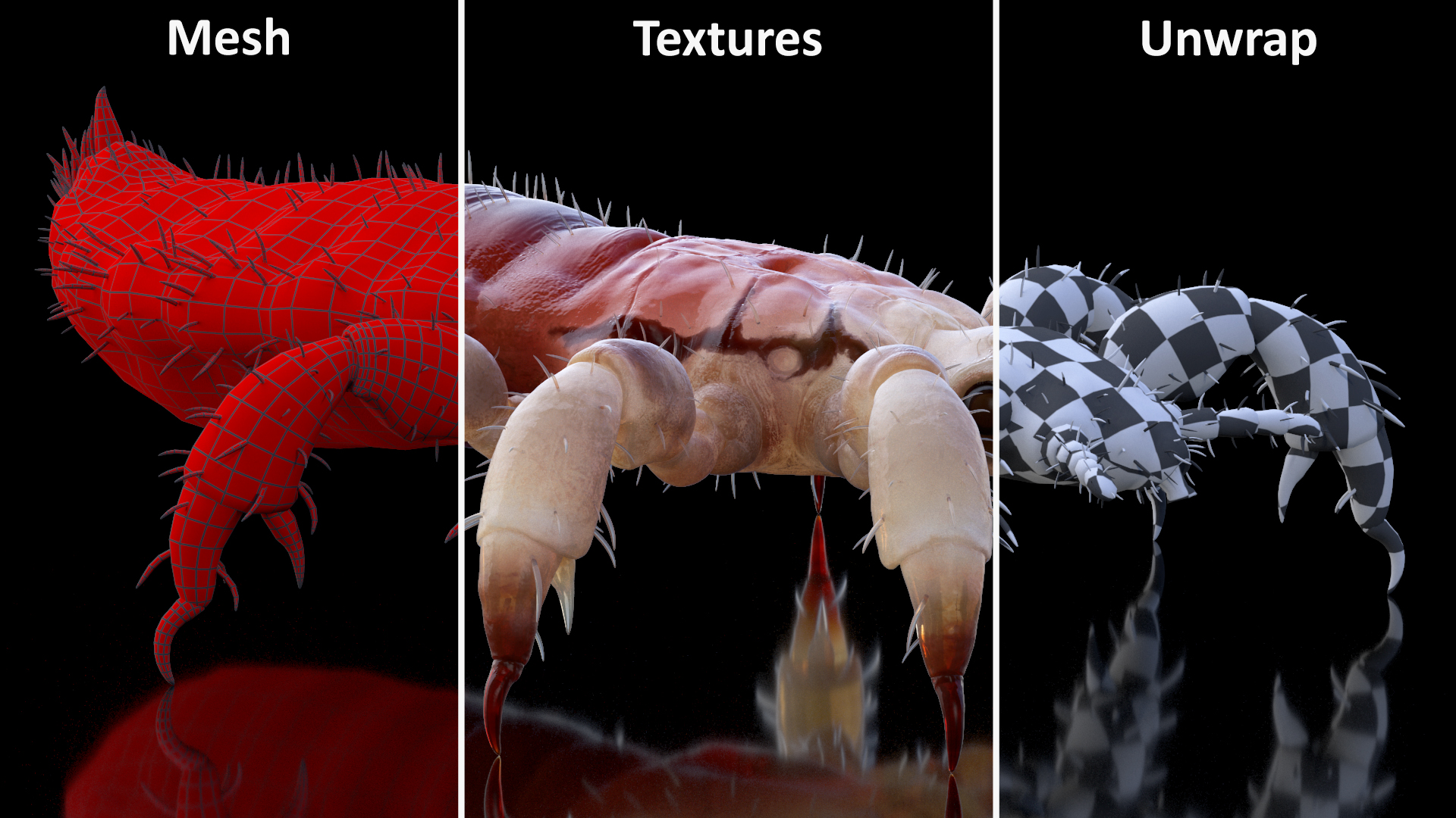 3D Parasitic Insect Louse with Blood SSS Rigged for Cinema 4D model