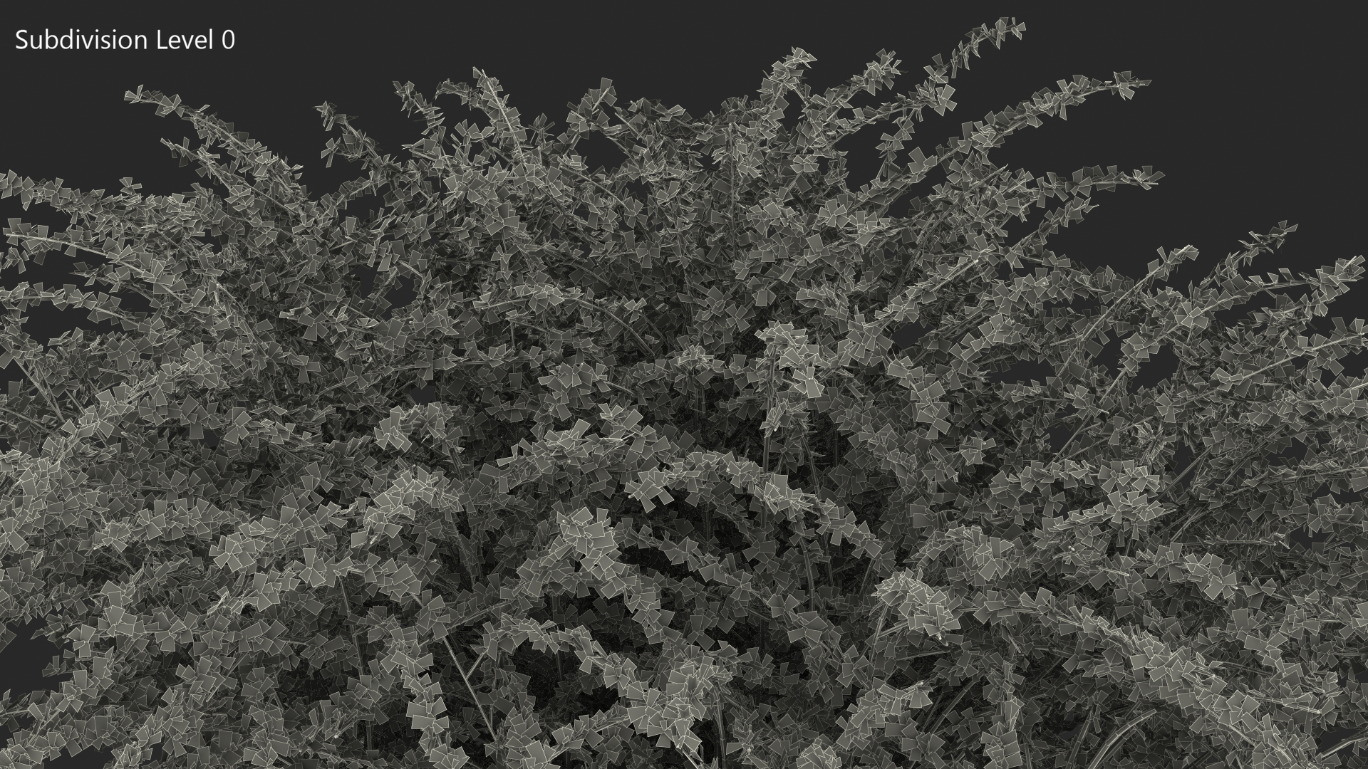 Barberry Bush Red 3D