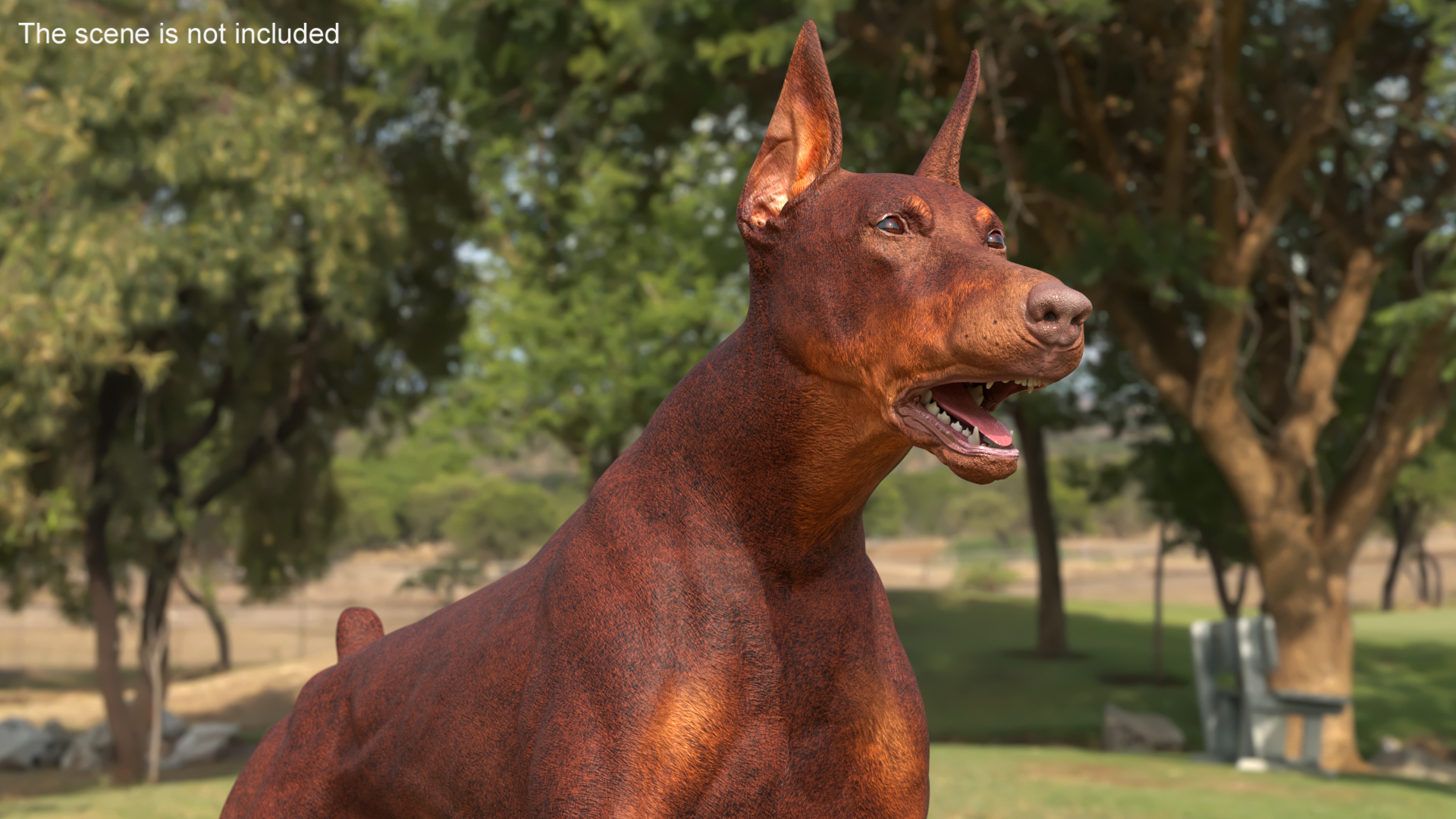 3D Doberman Dog Brown Running