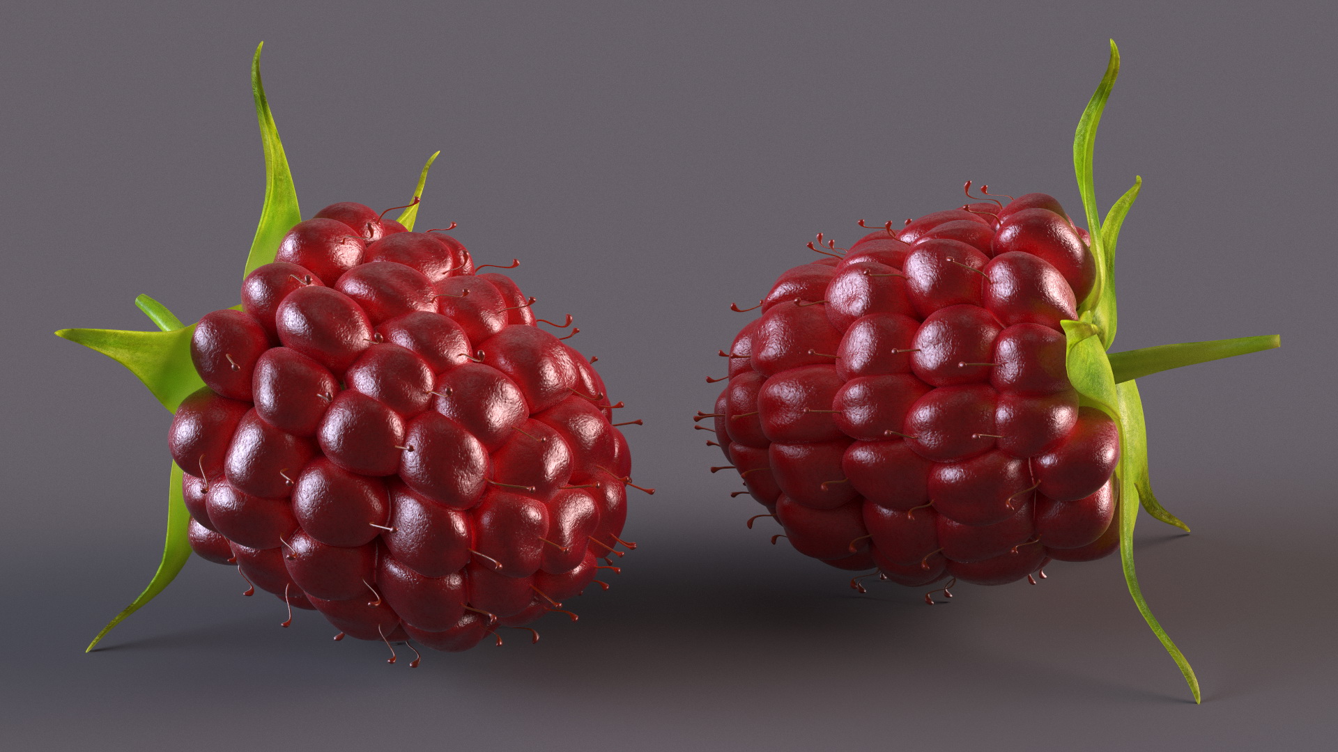 3D Red Raspberry model