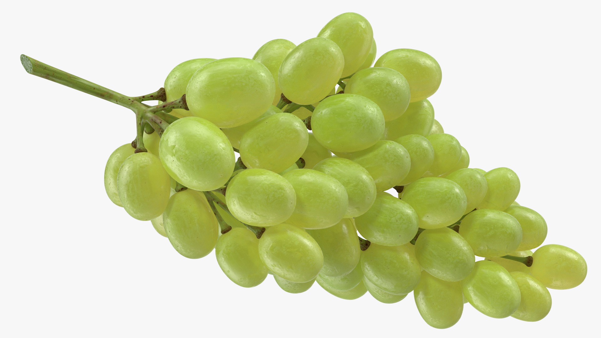 3D Cluster of Green Grapes model