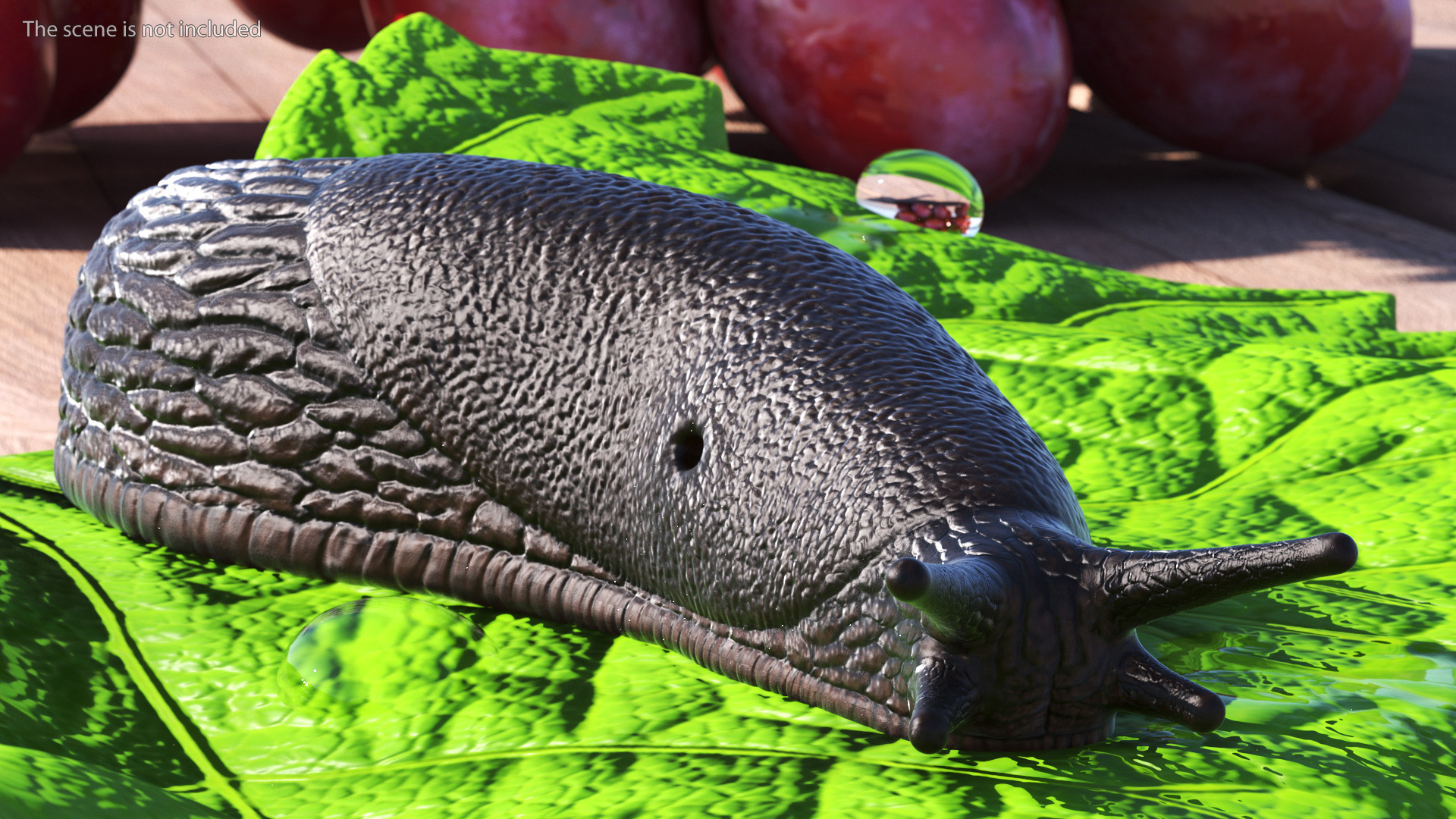 3D Garden Slug Rigged model