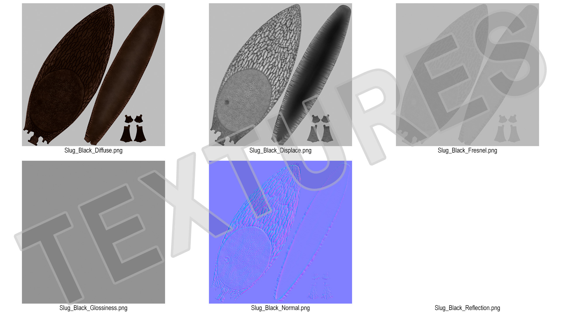 3D Garden Slug Rigged model