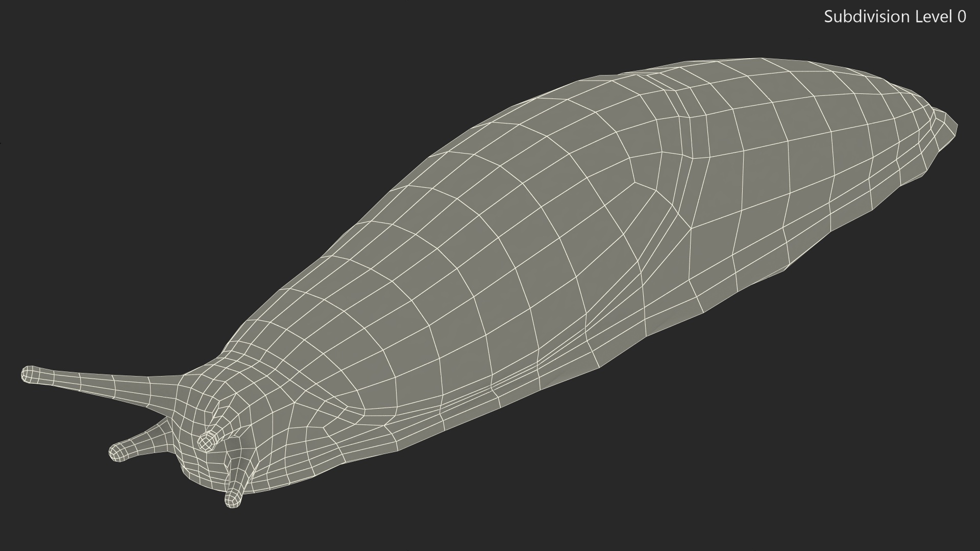 3D Garden Slug Rigged model