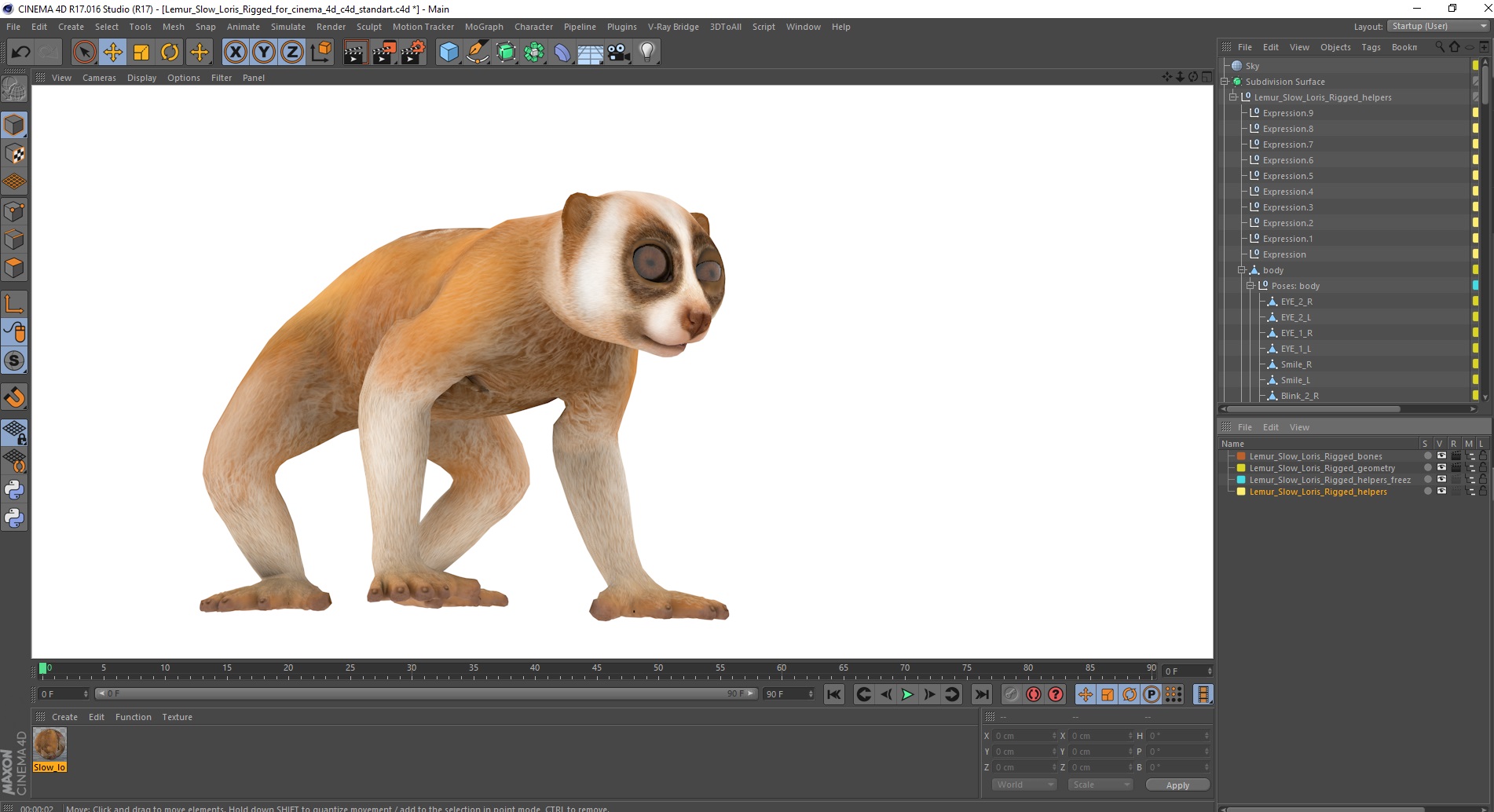 Lemur Slow Loris Rigged for Cinema 4D 3D