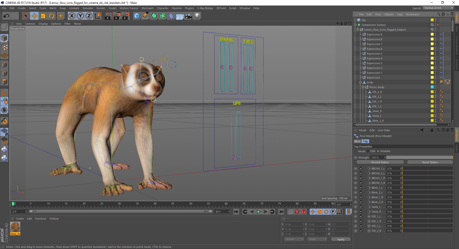 Lemur Slow Loris Rigged for Cinema 4D 3D