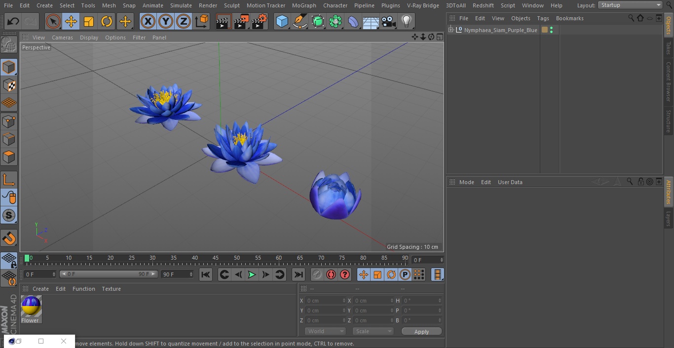 3D model Nymphaea Siam Purple Blue