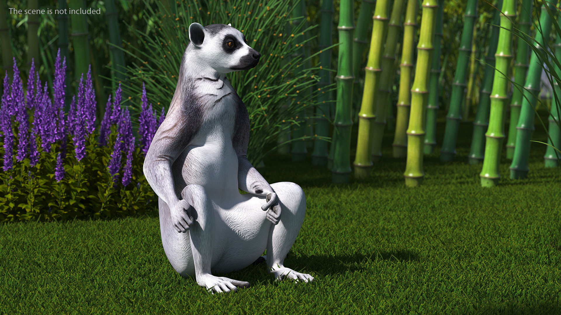 3D Lemur Rigged for Maya