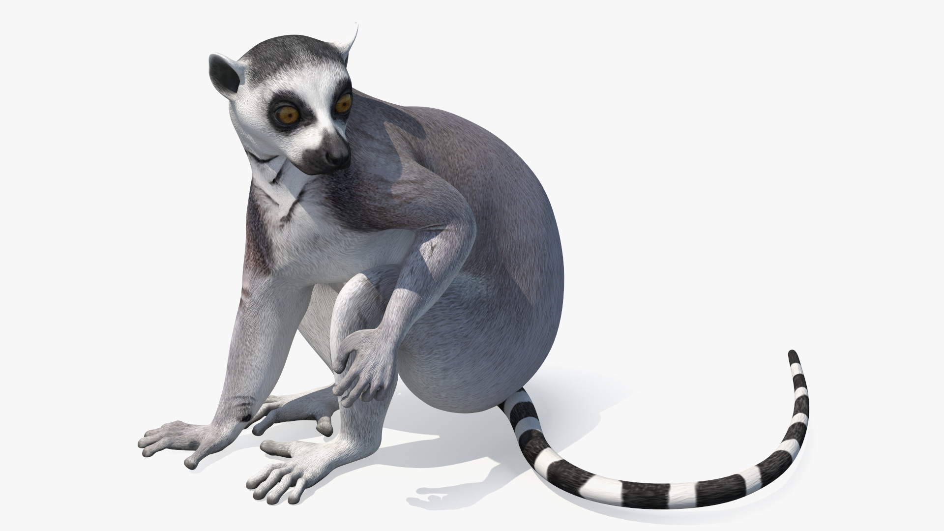 3D Lemur Rigged for Maya