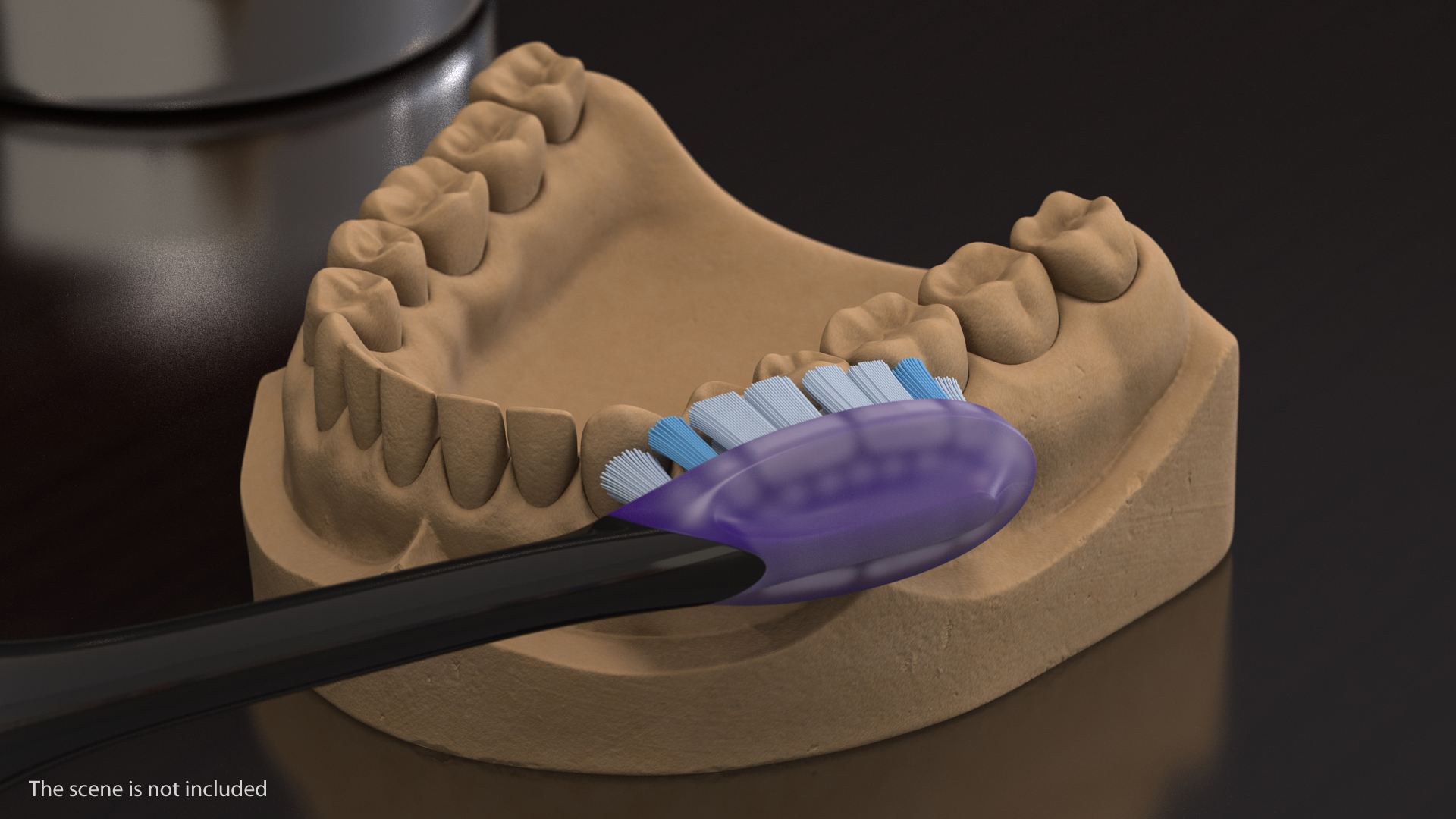 Replaceable Toothbrush Header 3D model