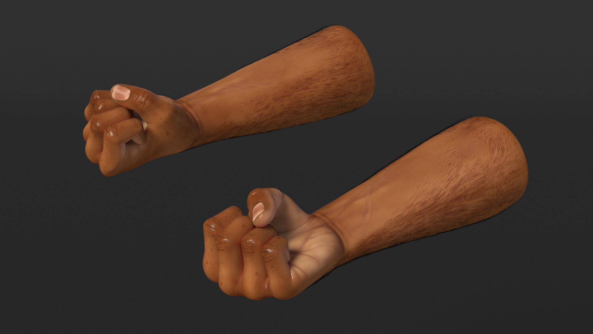 3D Hairy Human Male Arms with Fists Fur