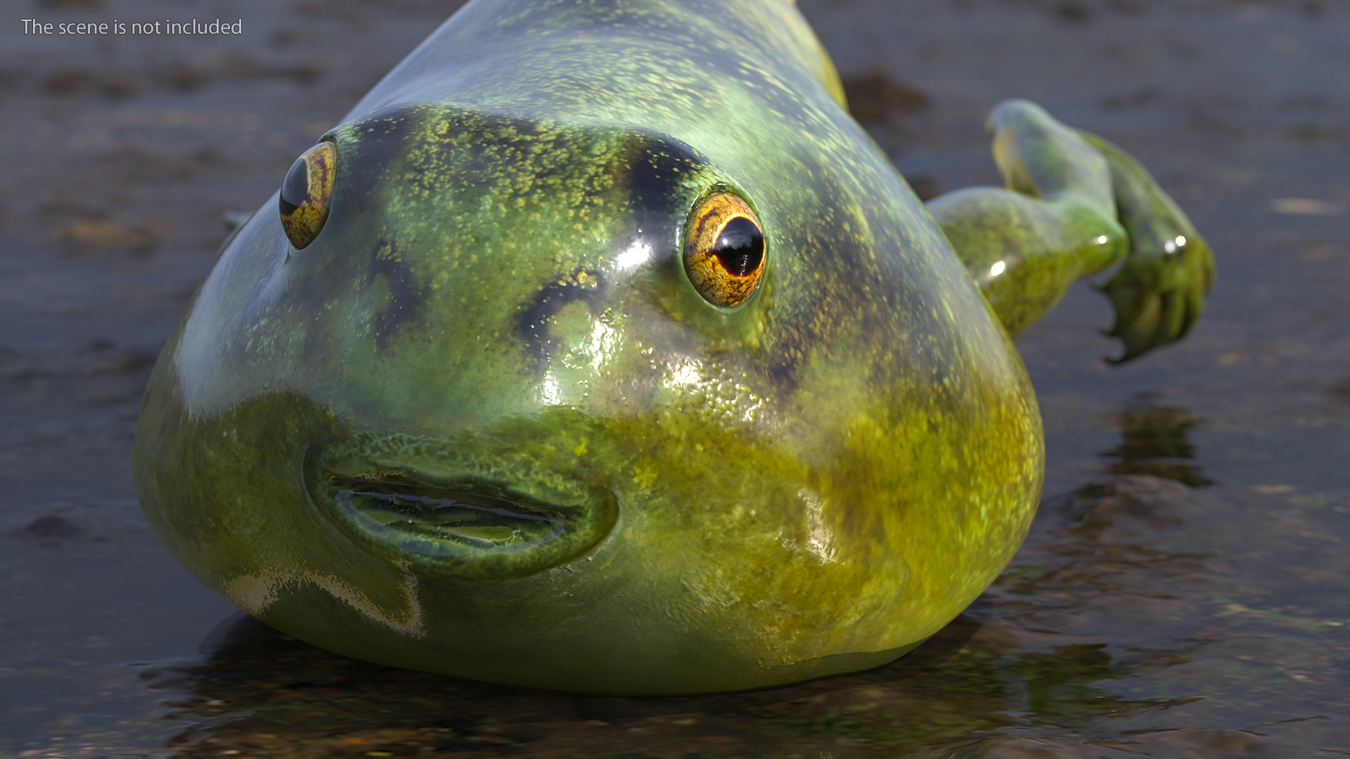 Tadpole with Legs Rigged 3D model