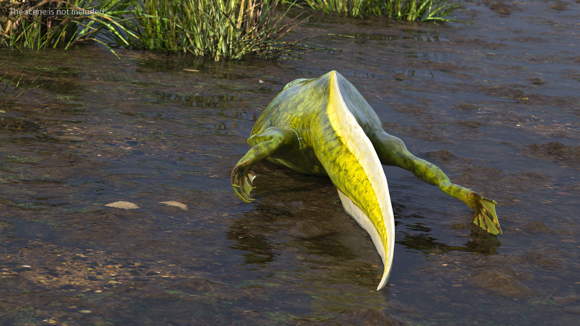 Tadpole with Legs Rigged 3D model