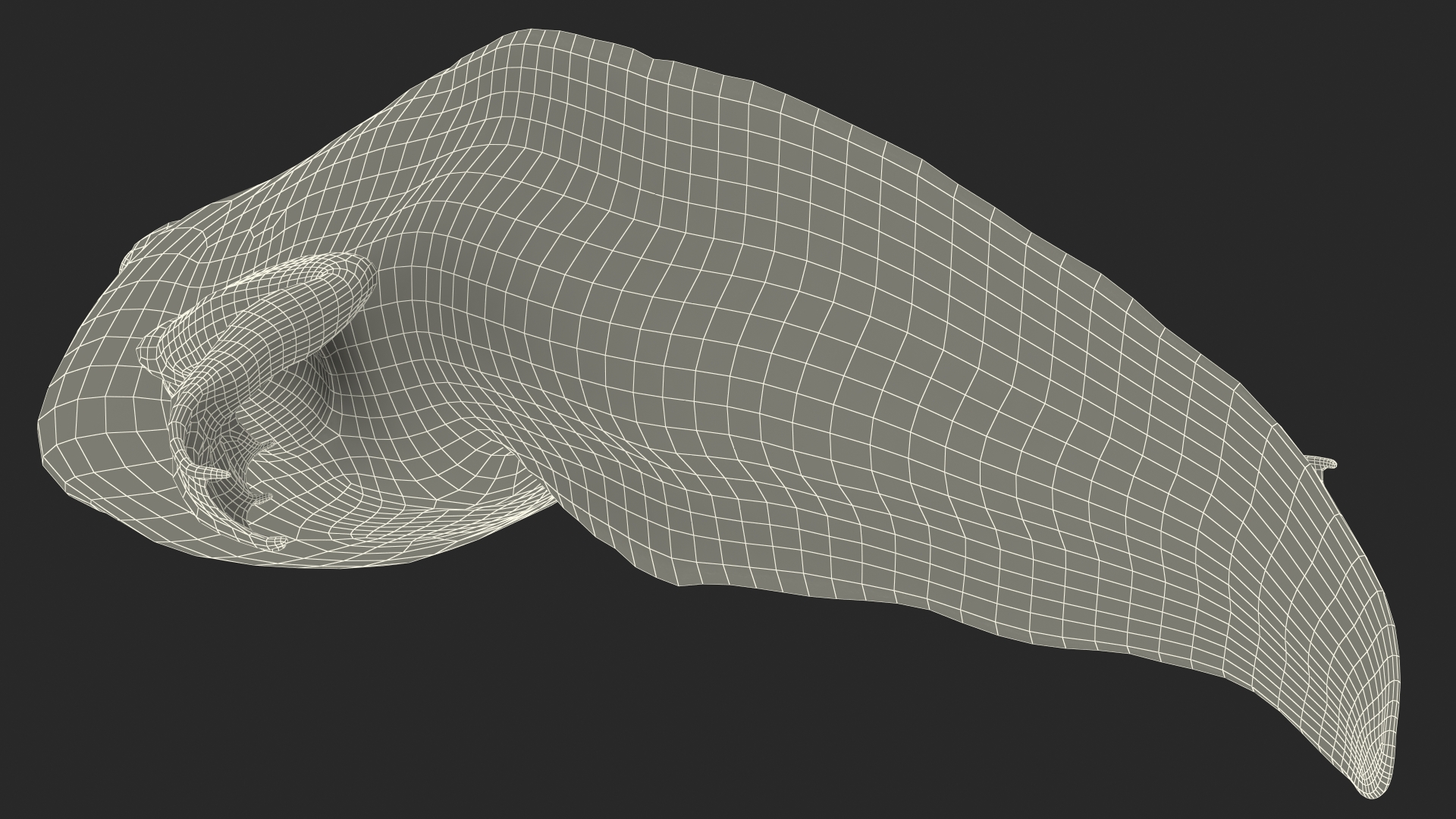 Tadpole with Legs Rigged 3D model