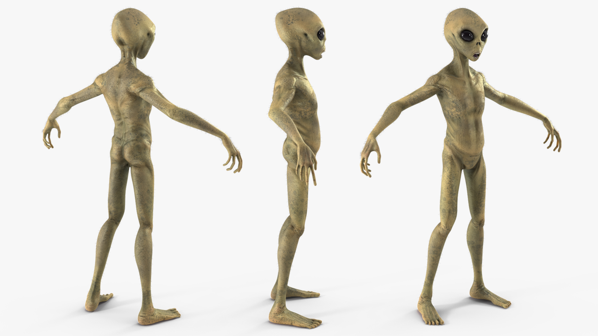 Humanoid Alien Creature Fur 3D