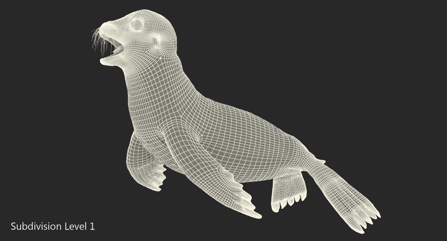 3D model Sea Lion Wet Neutral Pose