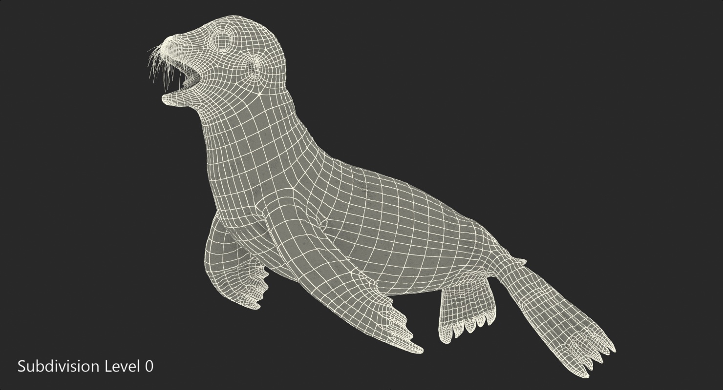 3D model Sea Lion Wet Neutral Pose