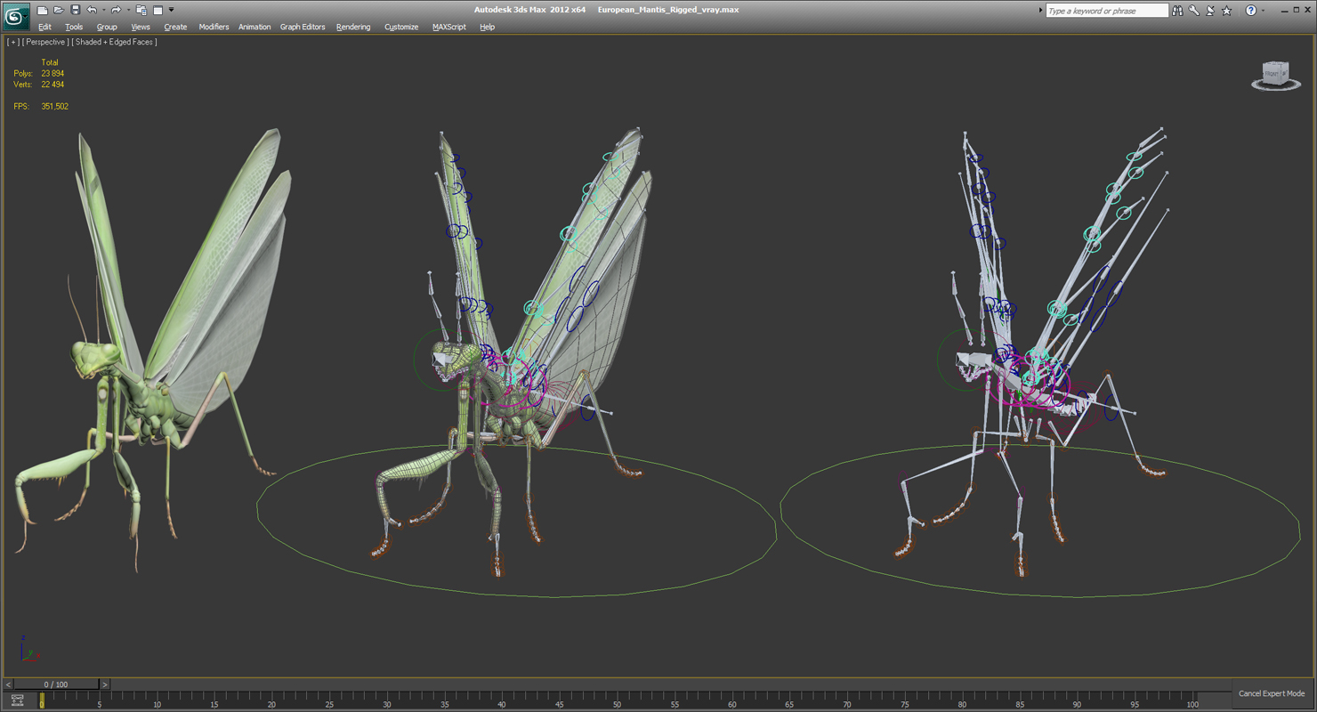 European Mantis Rigged 3D