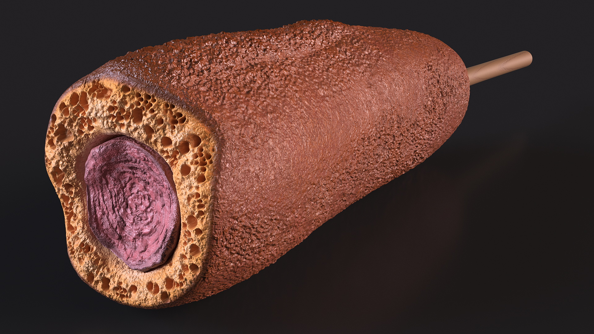 3D model Corn Dog Bitten