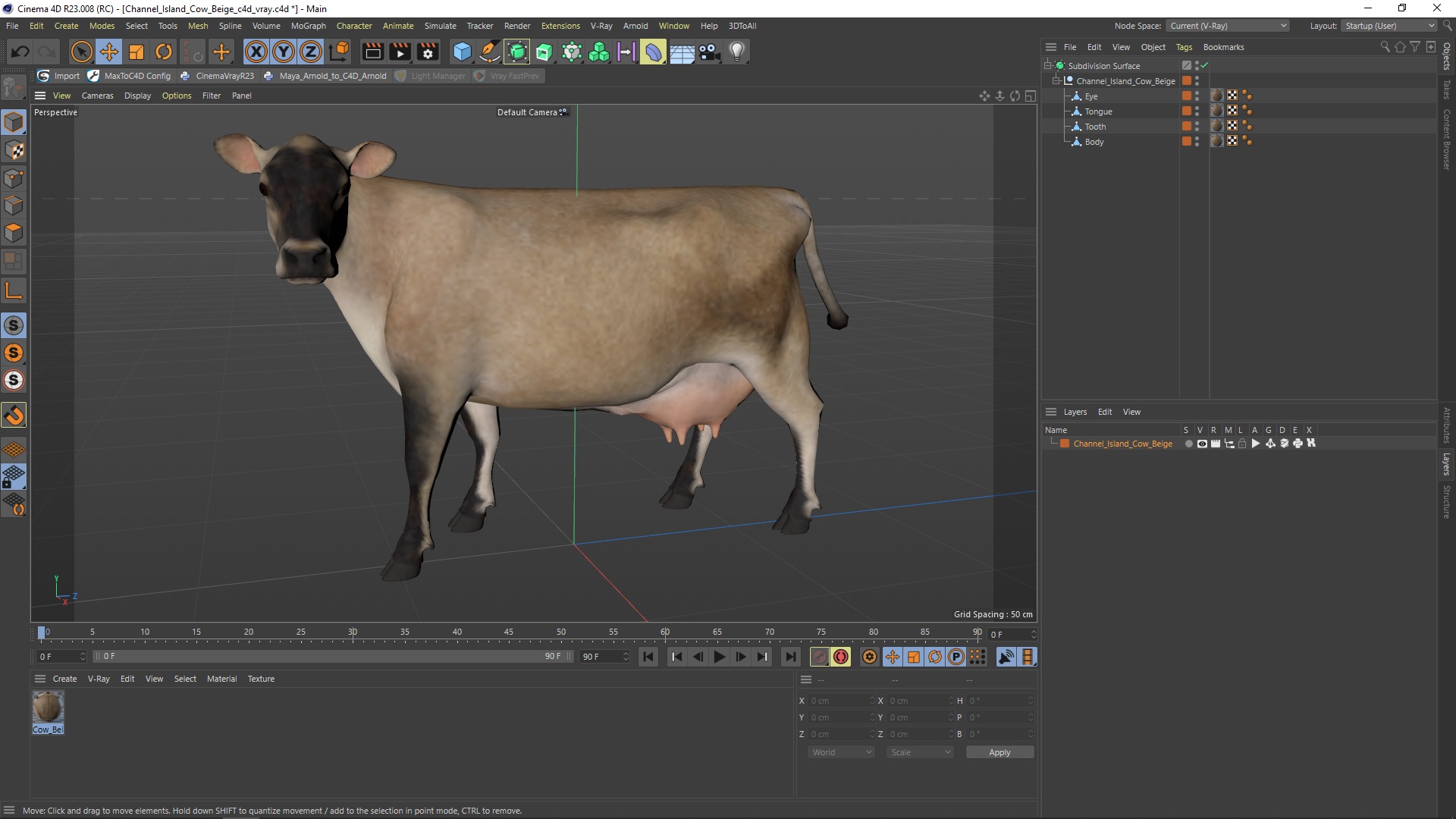 Channel Island Cow Beige 3D model