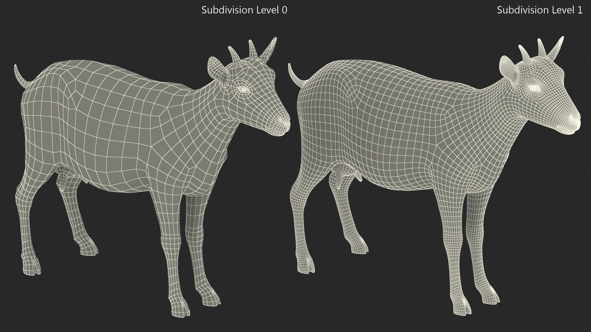 Dairy Goat Brown Rigged for Cinema 4D 3D