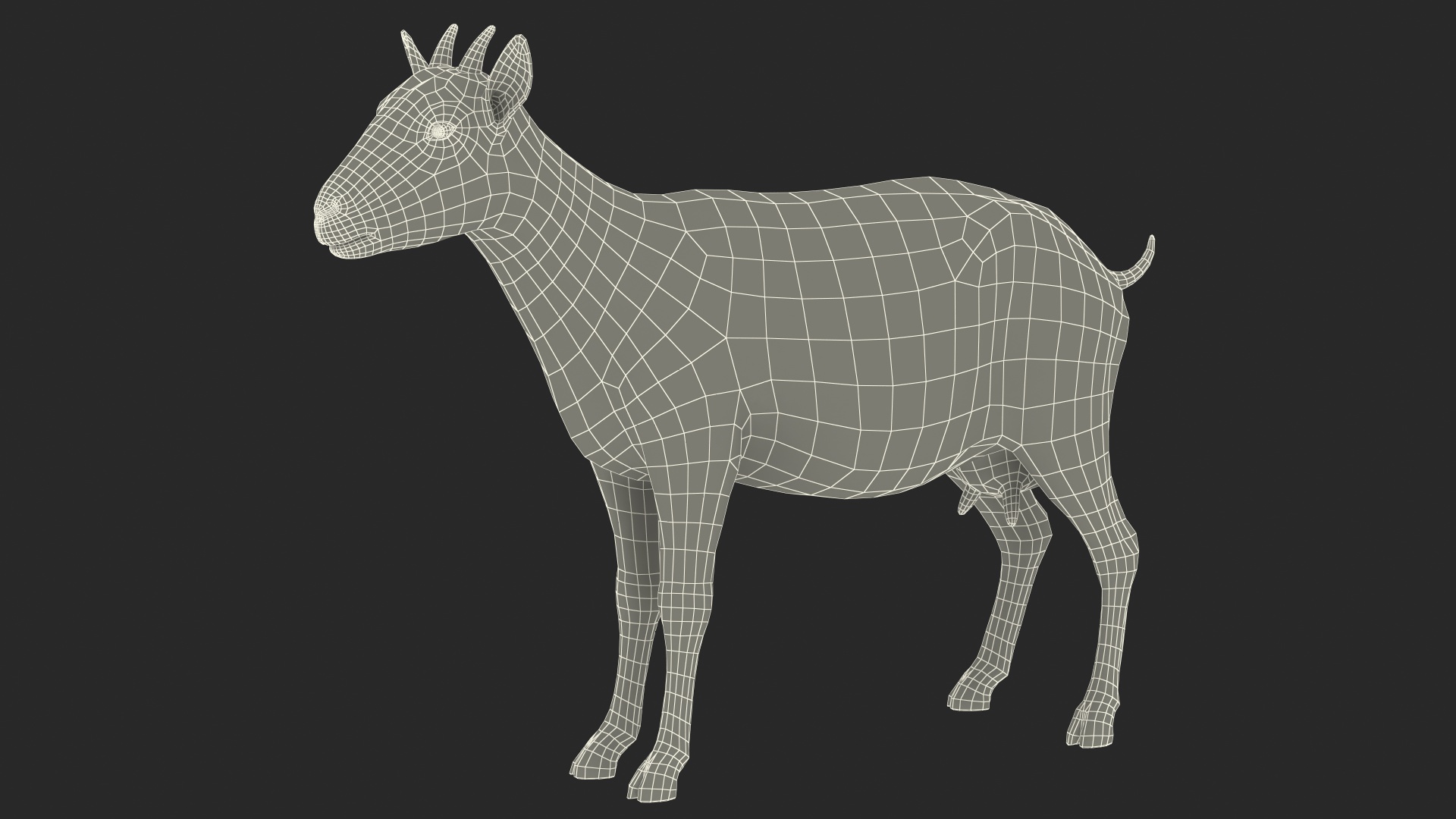 Dairy Goat Brown Rigged for Cinema 4D 3D