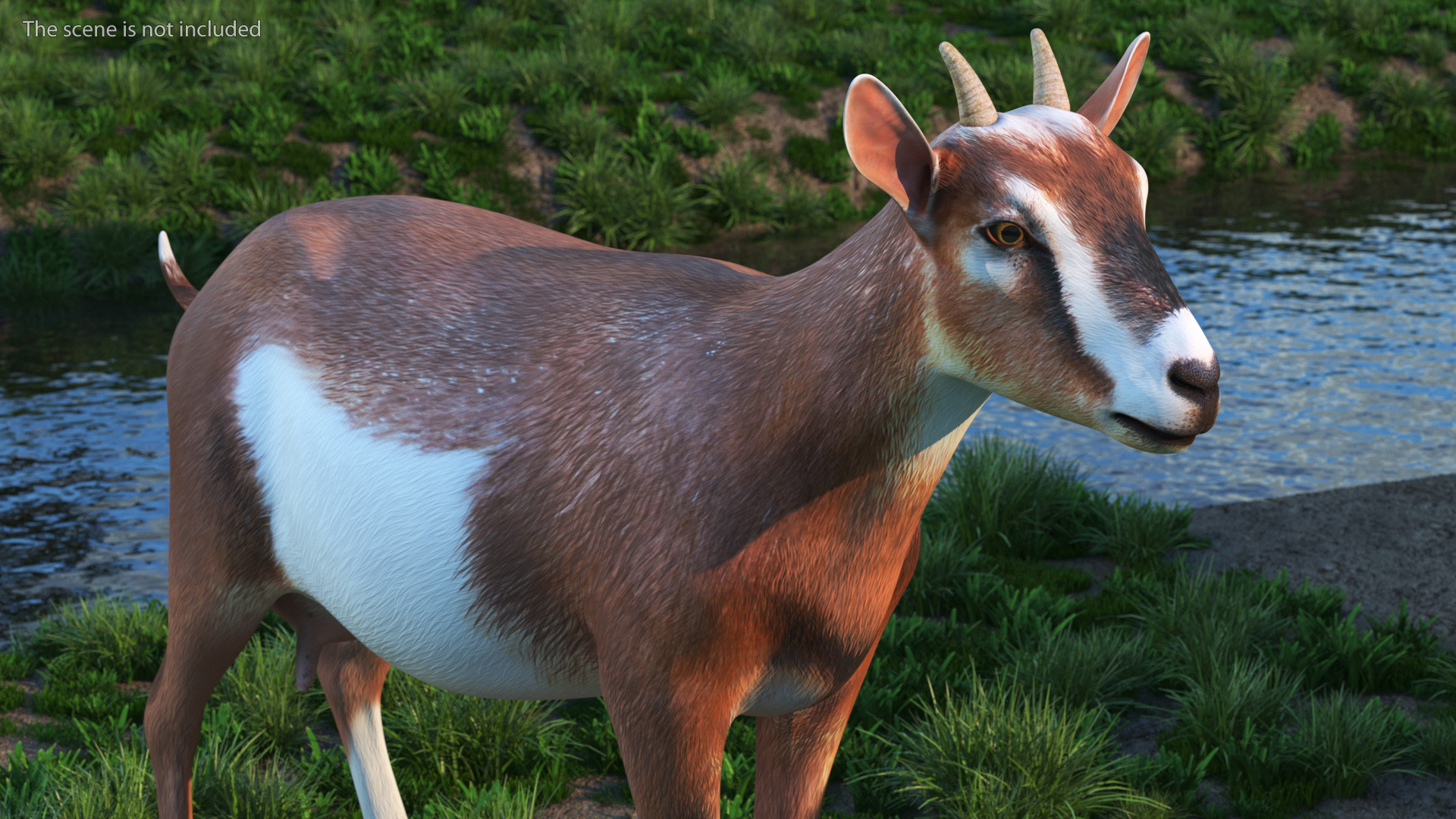 Dairy Goat Brown Rigged for Cinema 4D 3D