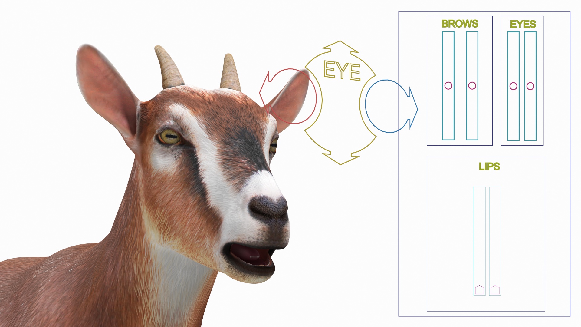 Dairy Goat Brown Rigged for Cinema 4D 3D