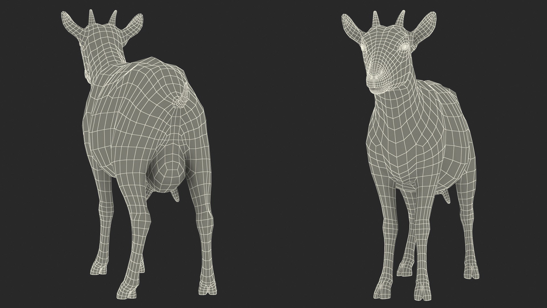 Dairy Goat Brown Rigged for Cinema 4D 3D