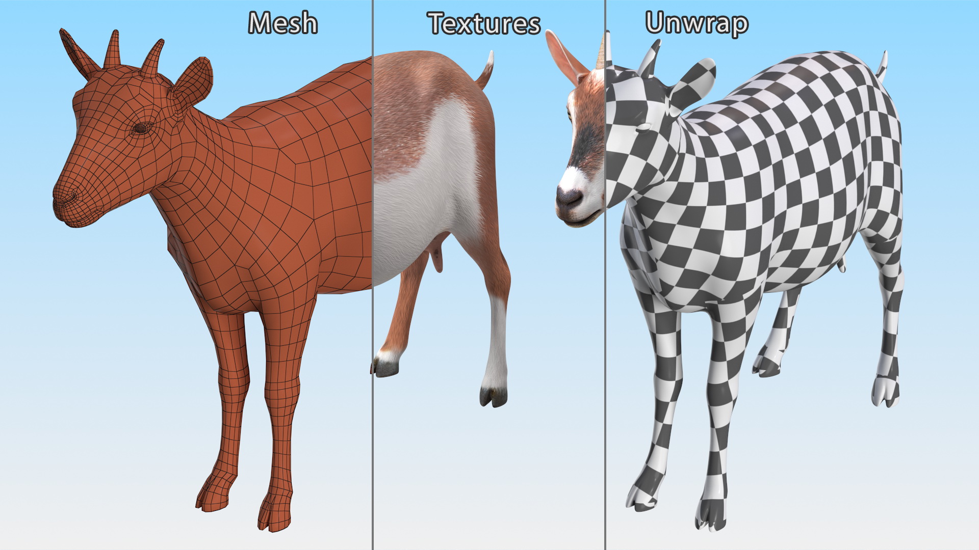 Dairy Goat Brown Rigged for Cinema 4D 3D